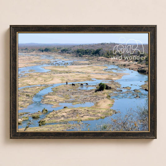 A framed photograph depicting a serene landscape with a river, lush vegetation, and a herd of elephants in the distance.