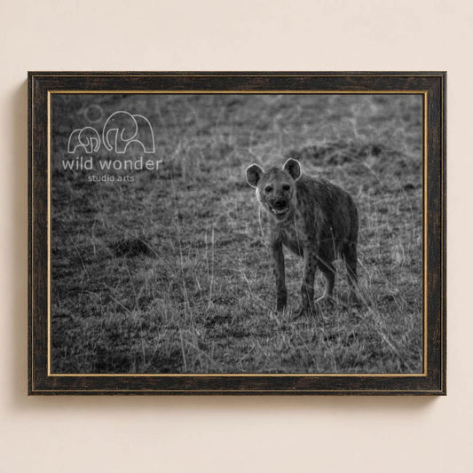 A black and white photograph of a hyena standing in a grassy field.