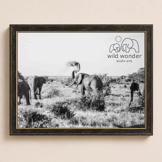 A black and white photograph of a herd of elephants in a grassy field, with the text "wild wonder studio arts" displayed in the top right corner.