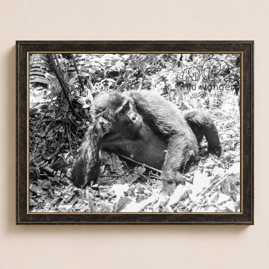 A black and white photograph of a monkey sitting on the ground in a forested area.