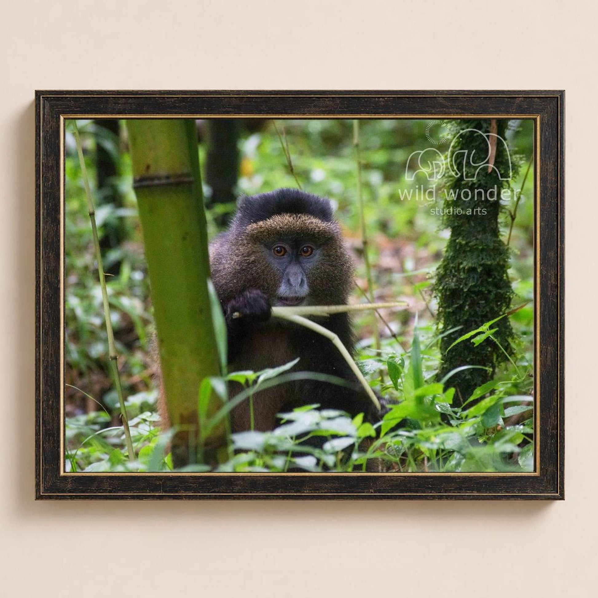A close-up photograph of a monkey sitting on a tree branch in a lush, green forest environment.