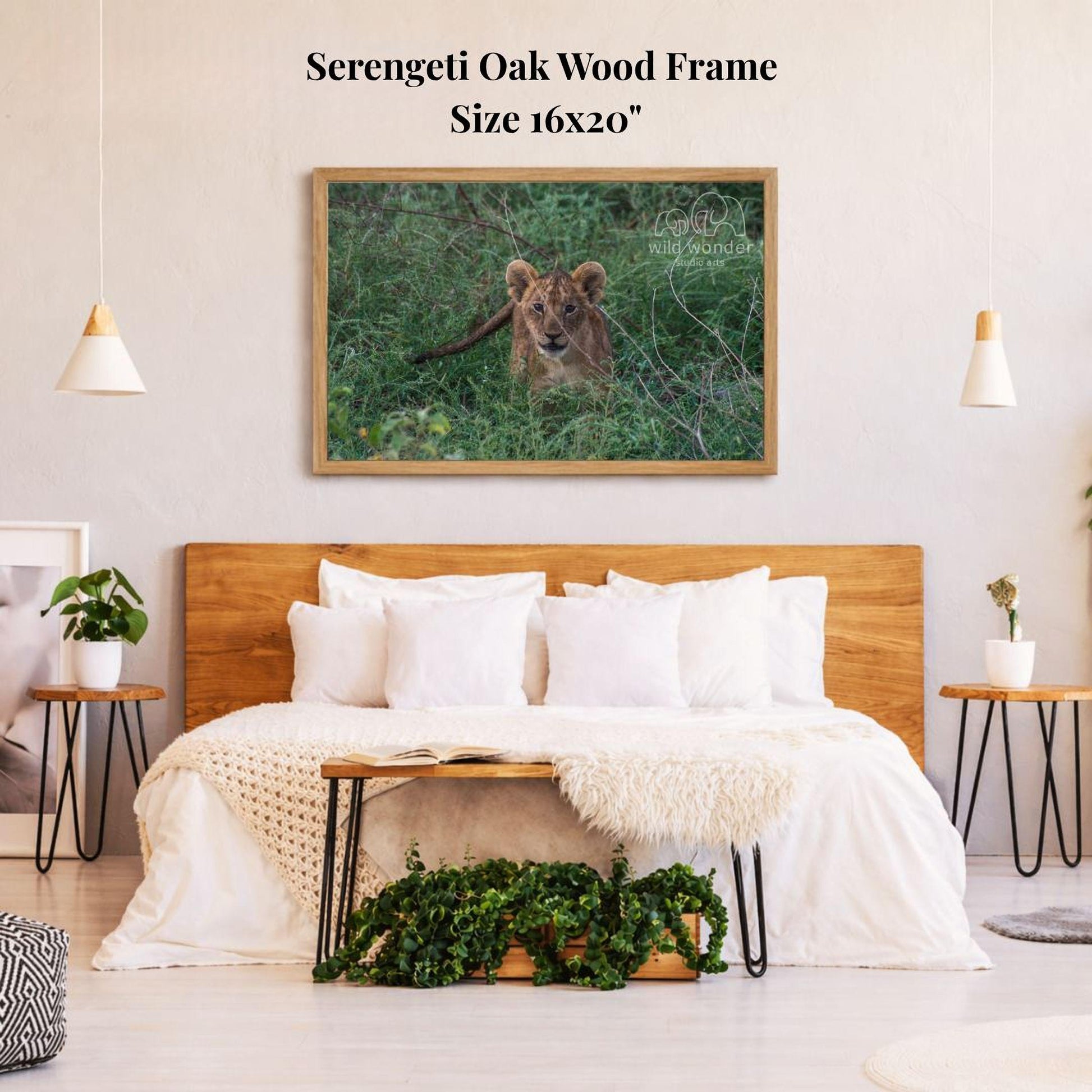 a serene bedroom scene with a large framed photograph of a lion resting in the grass on the wall above a bed with white bedding.