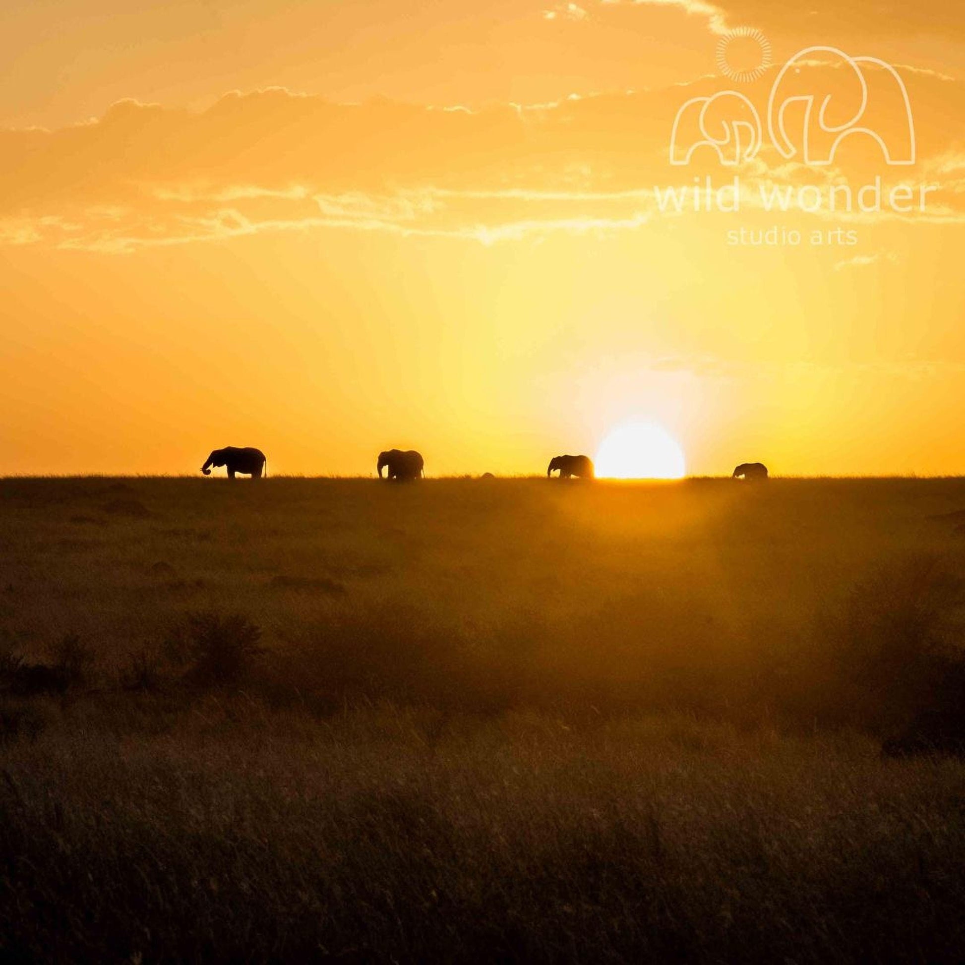 A group of elephants grazing on a grassy plain at sunset, with the sun setting behind them.