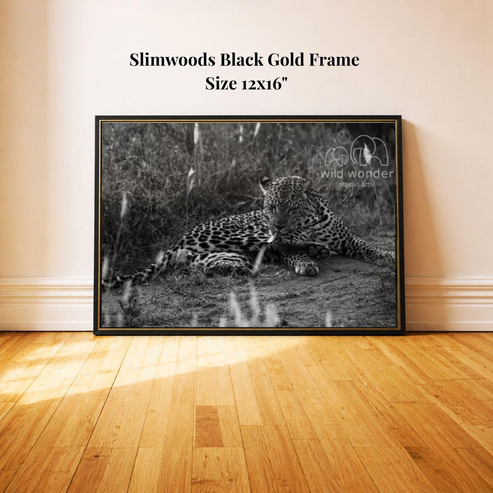A black and white photograph of a leopard resting on the ground, with a text overlay indicating the frame is a "Slimwoods Black Gold Frame" and the size is 12x16 inches.