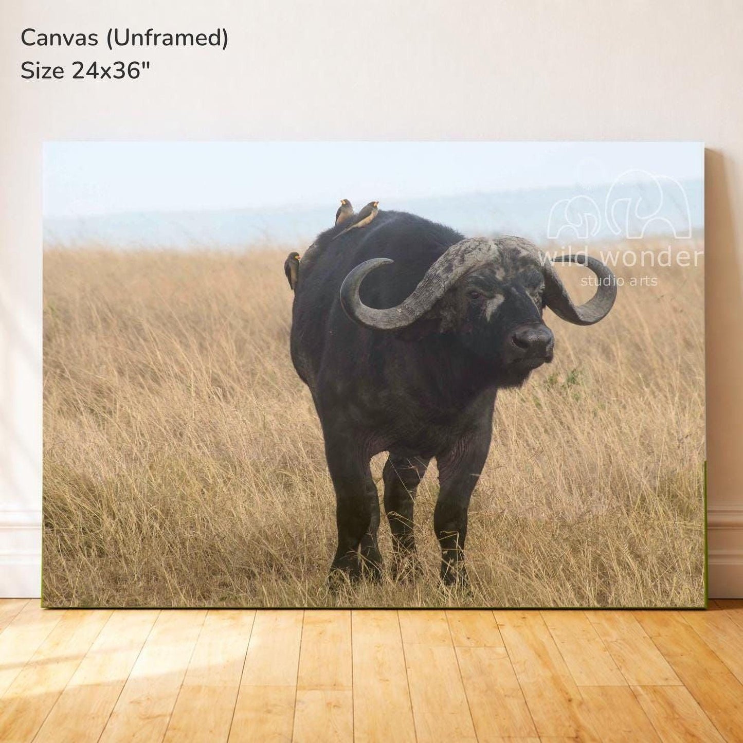 a large horned animal, possibly a buffalo or a bison, standing in a grassy field with its horns prominently displayed.