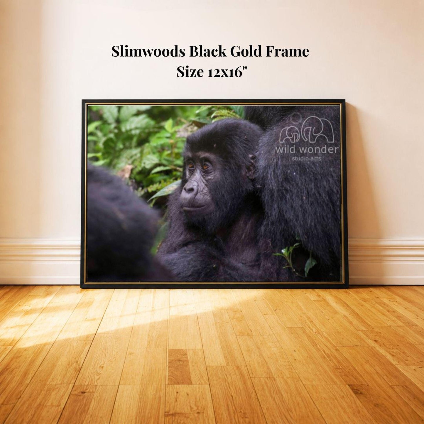 A framed photograph of a black gorilla sitting in a lush, green forest environment.