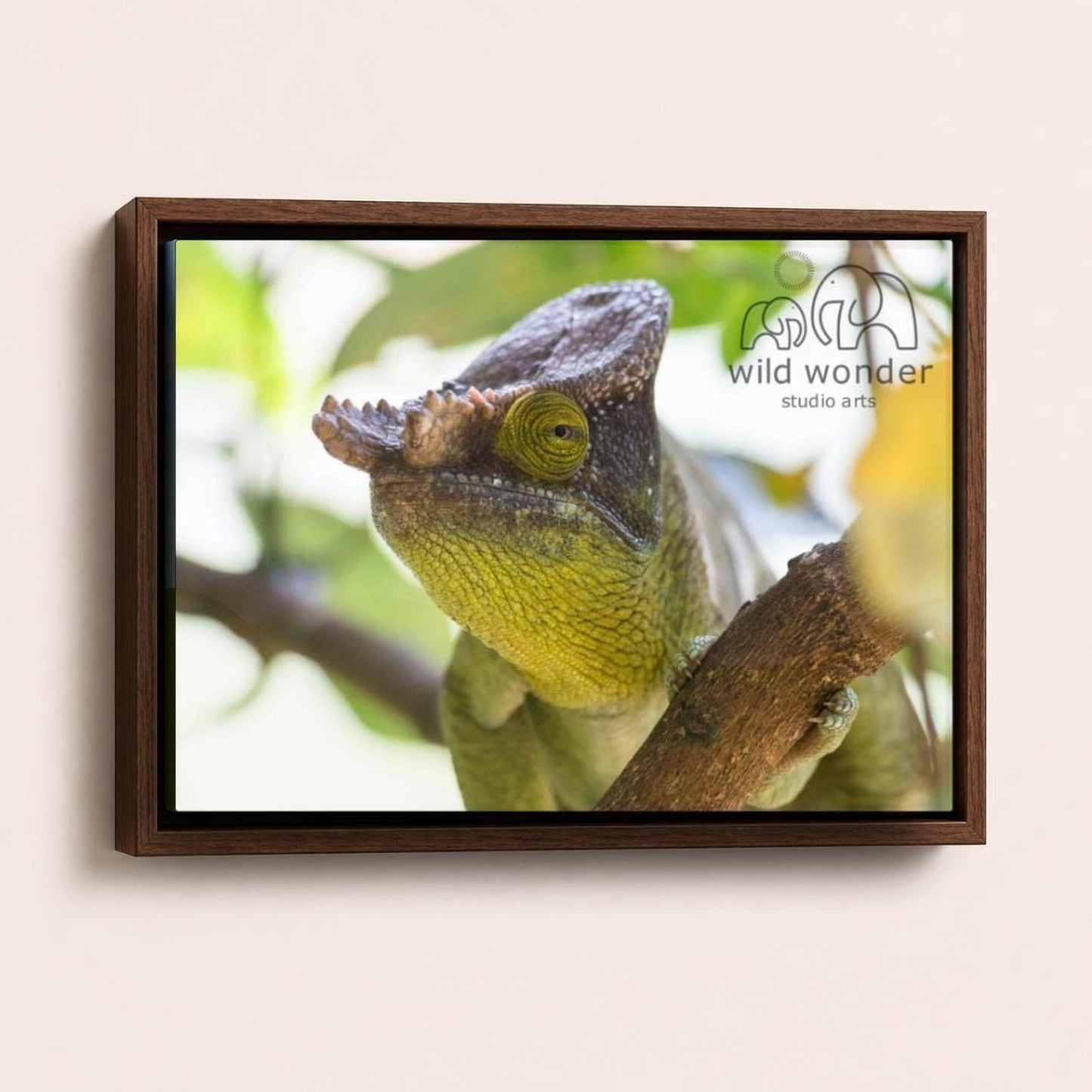 A chameleon with a yellowish-green coloration is perched on a branch, its eyes focused intently.