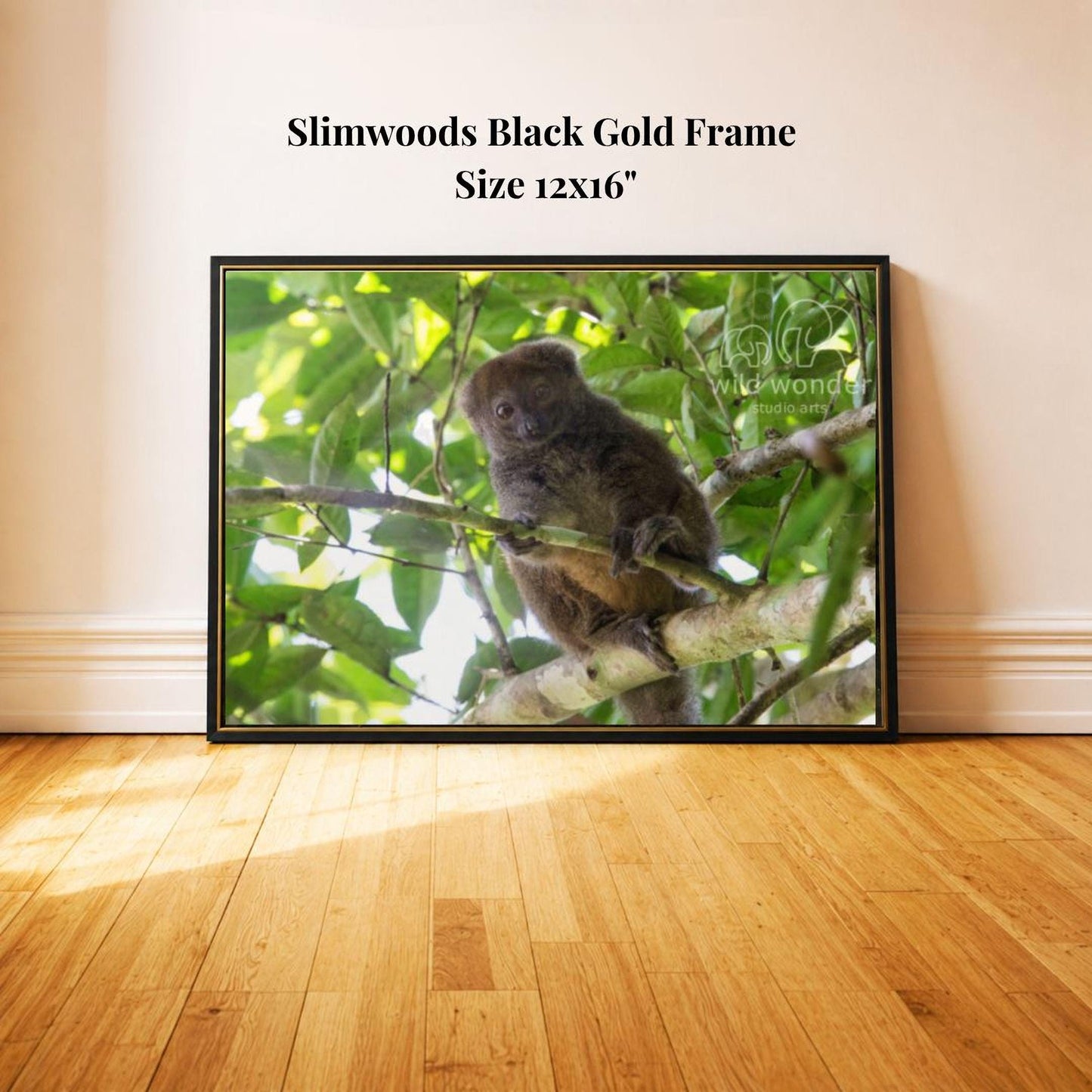 A framed photograph of a small primate, likely a monkey, perched on a branch in a lush, green environment.