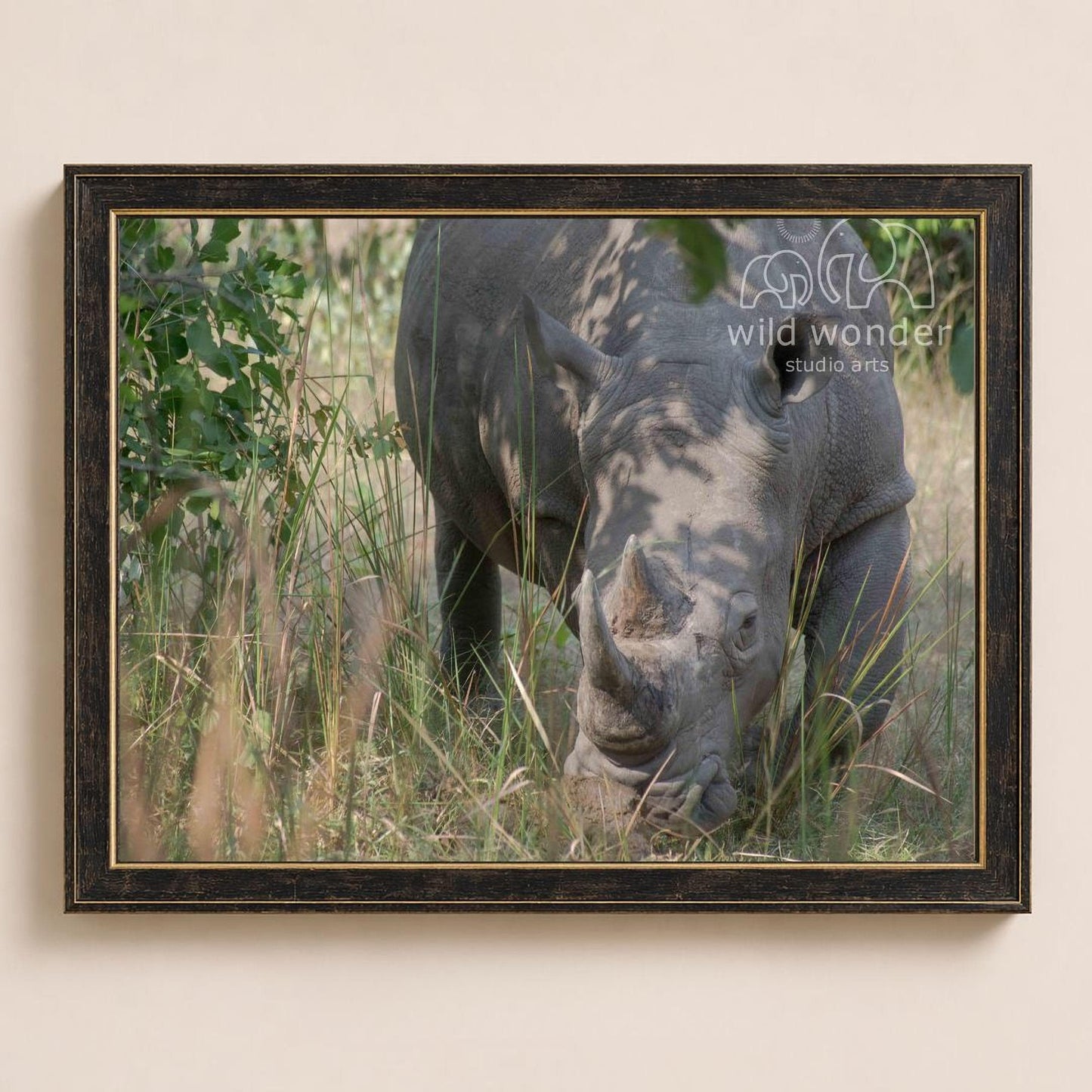 A rhinoceros grazing in a grassy field with trees in the background.