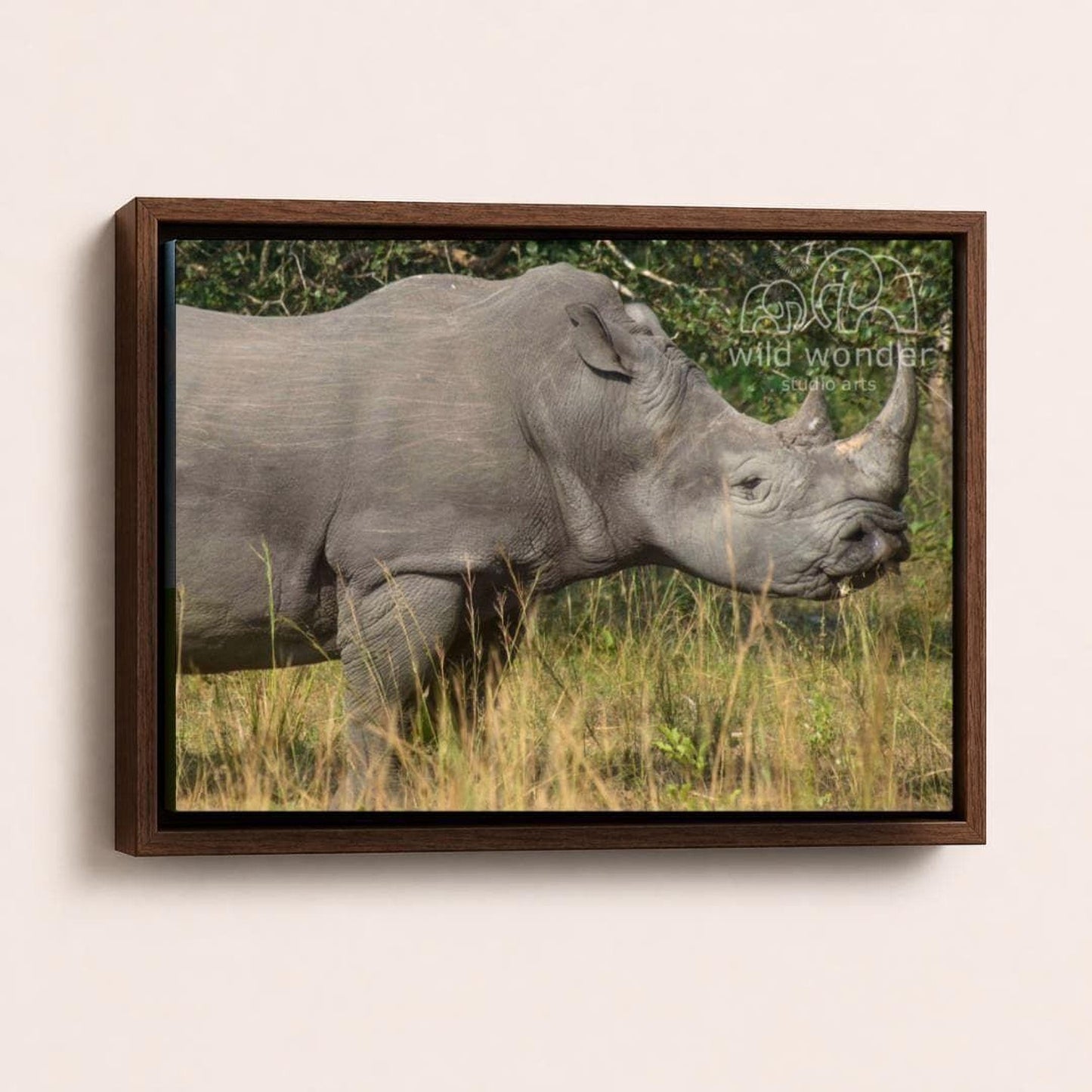 A rhinoceros standing in tall grass, with its head lowered and mouth open, in a natural setting.