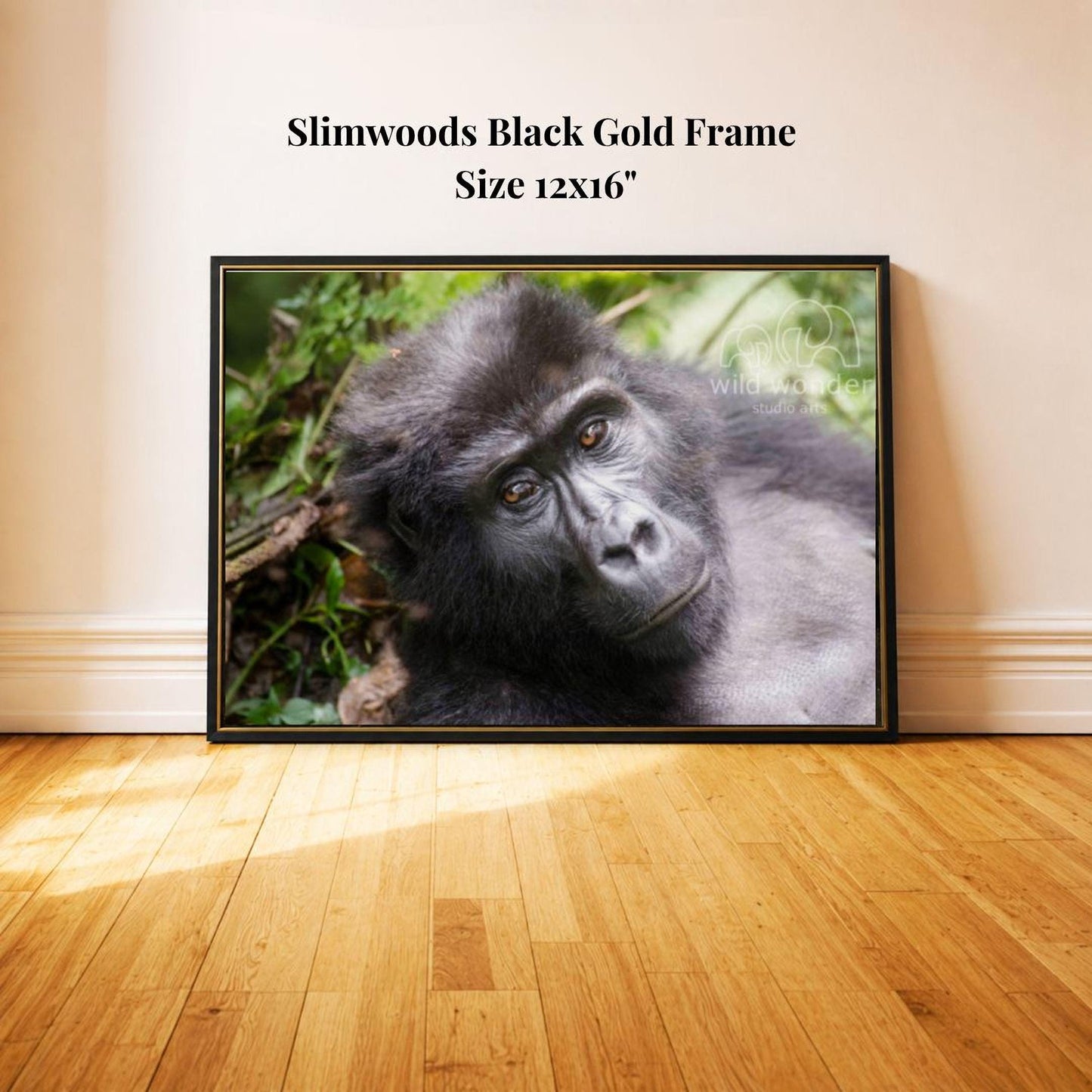 A framed photograph of a gorilla resting on the ground, with a lush green background.