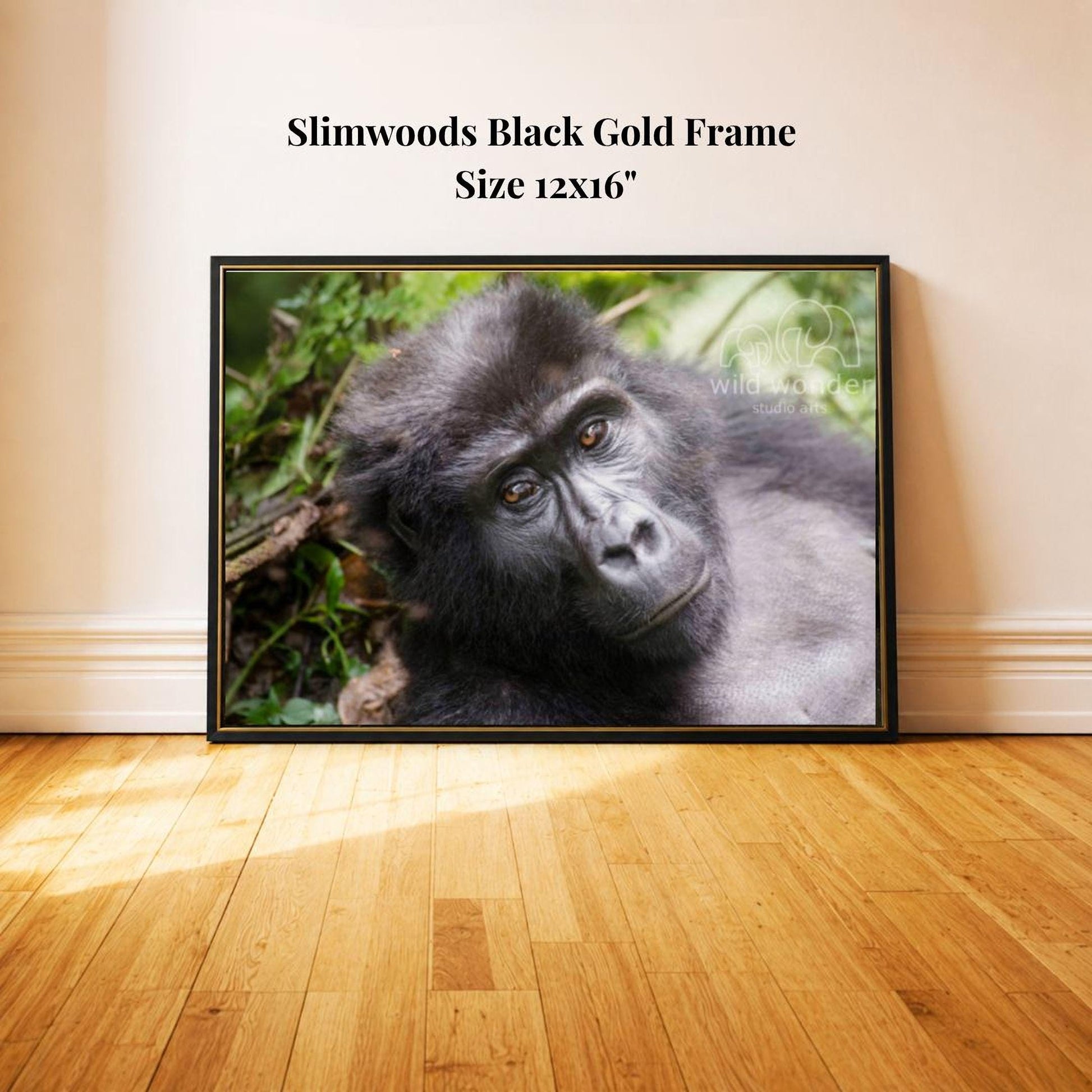A framed photograph of a gorilla resting on the ground, with a lush green background.