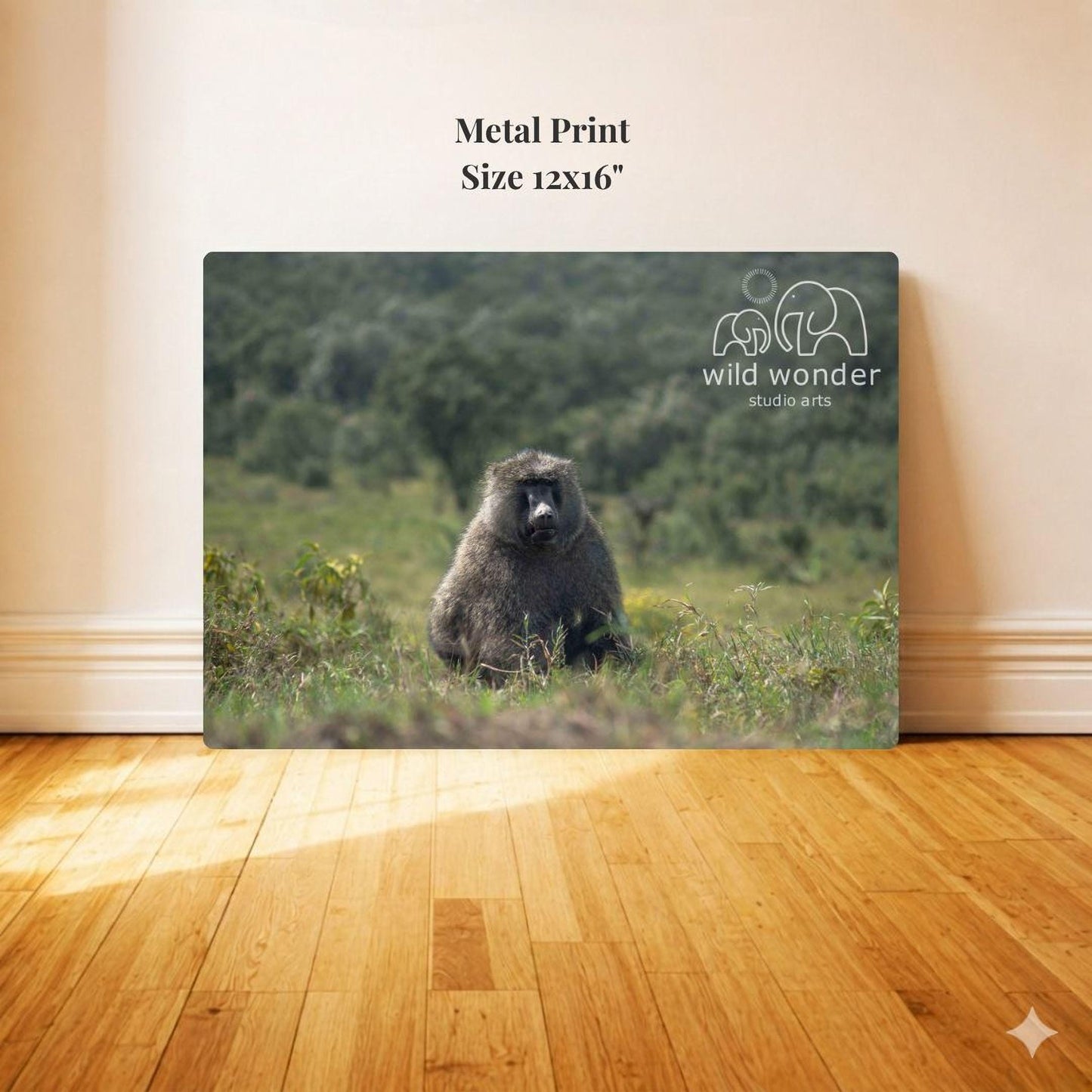 Metal Print: 12x16", Wild Wonder, students