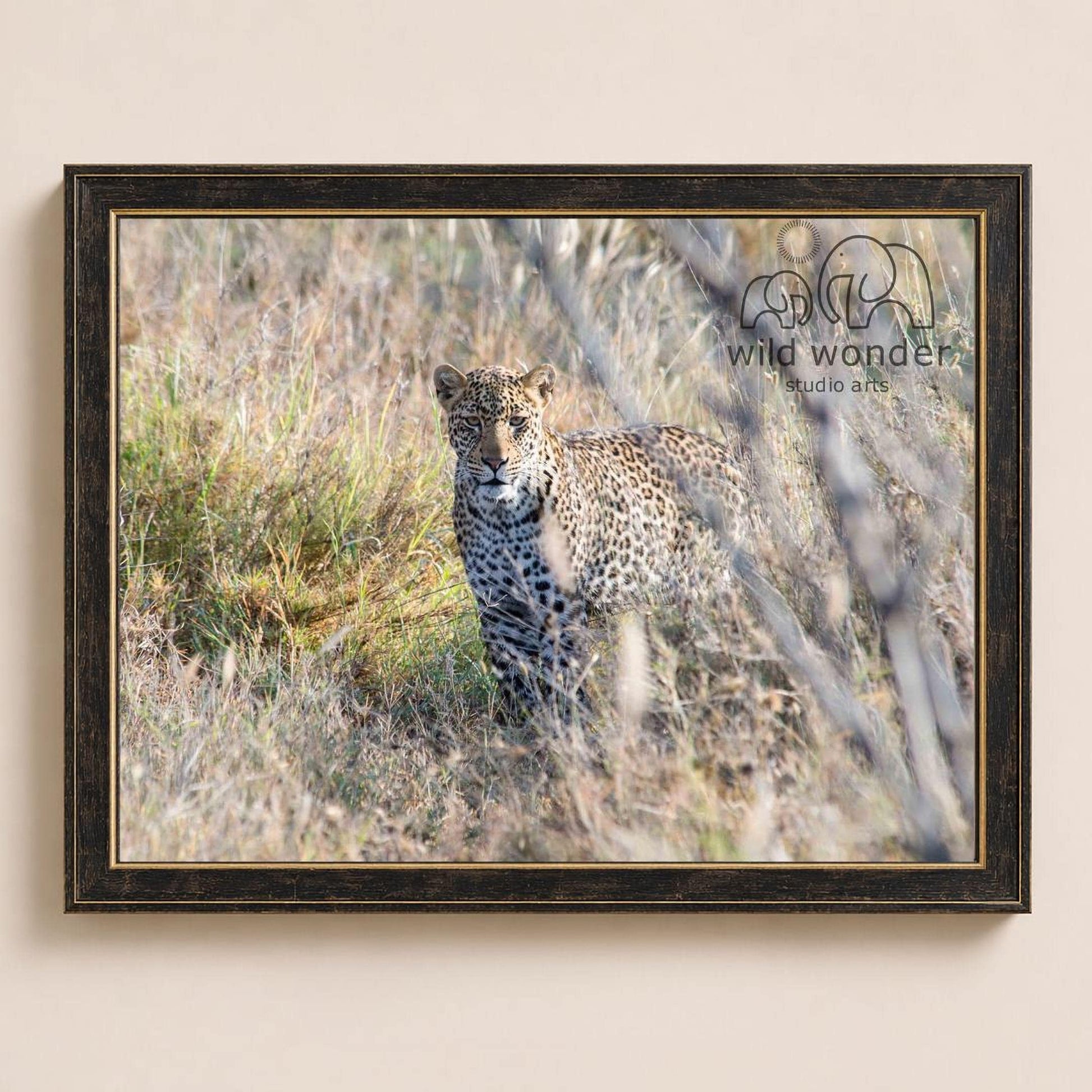 A leopard standing in tall grass, partially hidden by the vegetation.
