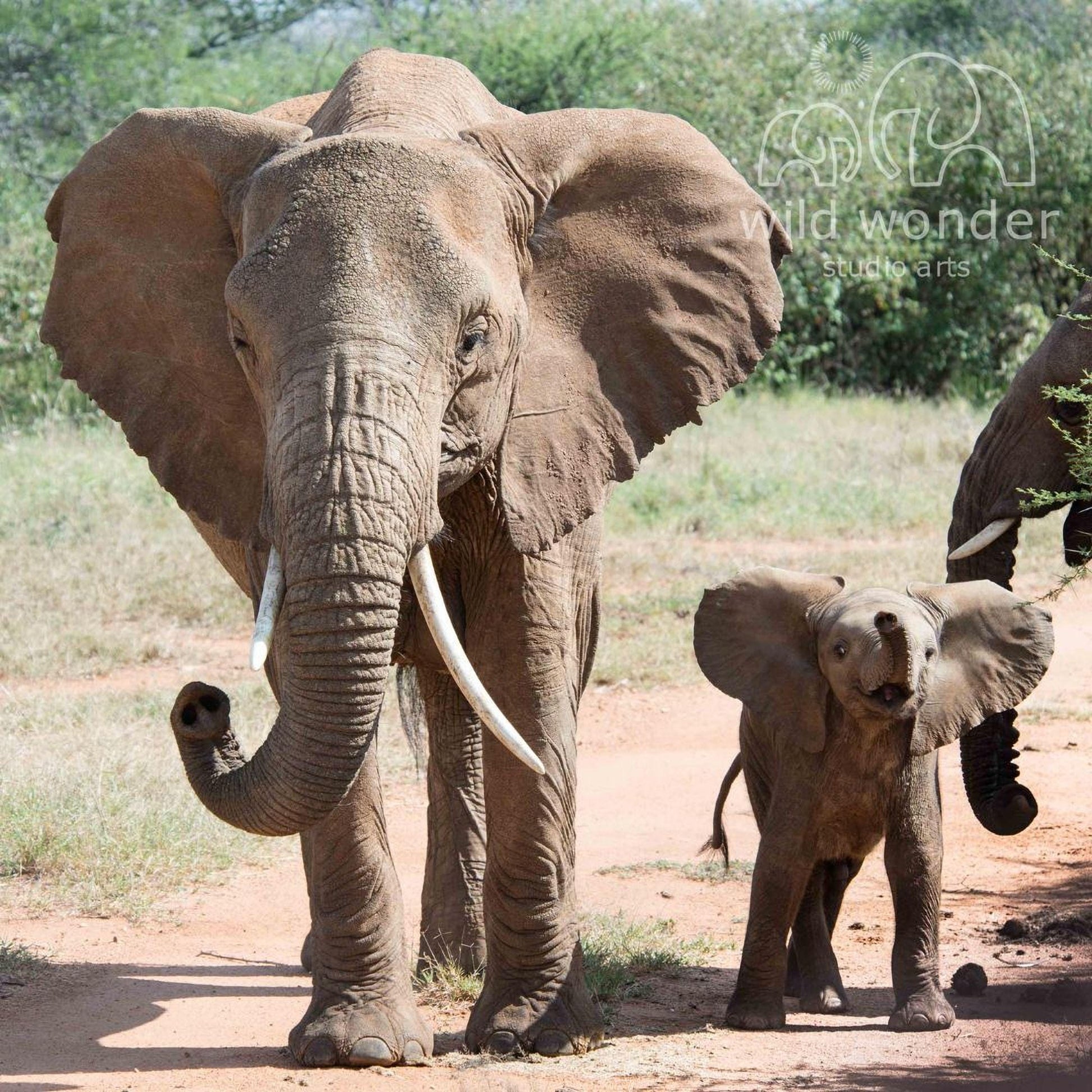 A large elephant with tusks and a smaller elephant with large ears standing together in a natural setting.