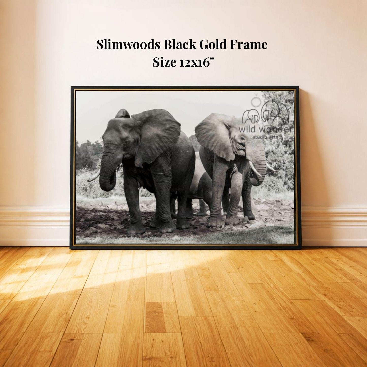 A black and white photograph of two elephants standing next to each other in a natural setting, with a text overlay indicating the size of the frame as 12x16 inches.
