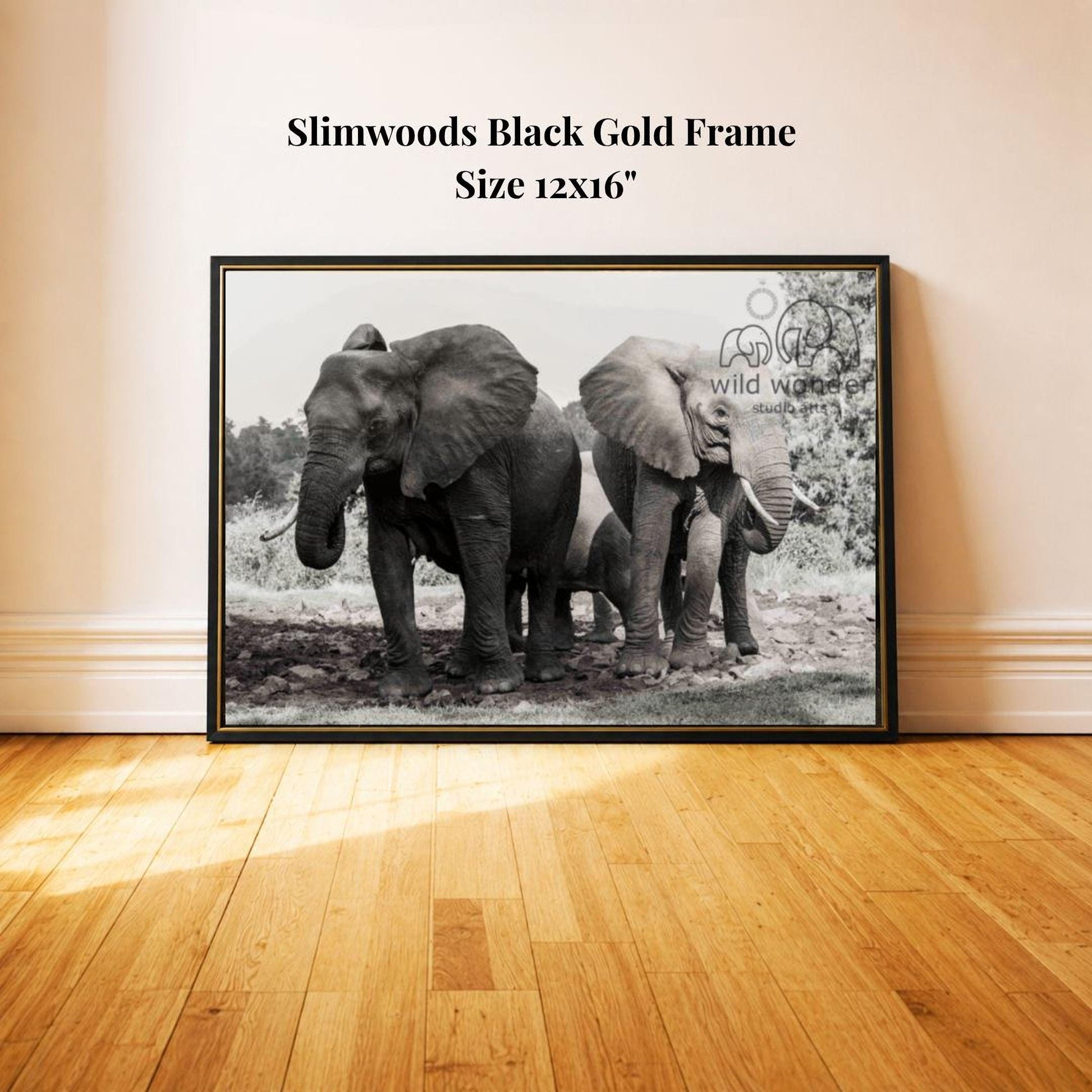 A black and white photograph of two elephants standing next to each other in a natural setting, with a text overlay indicating the size of the frame as 12x16 inches.