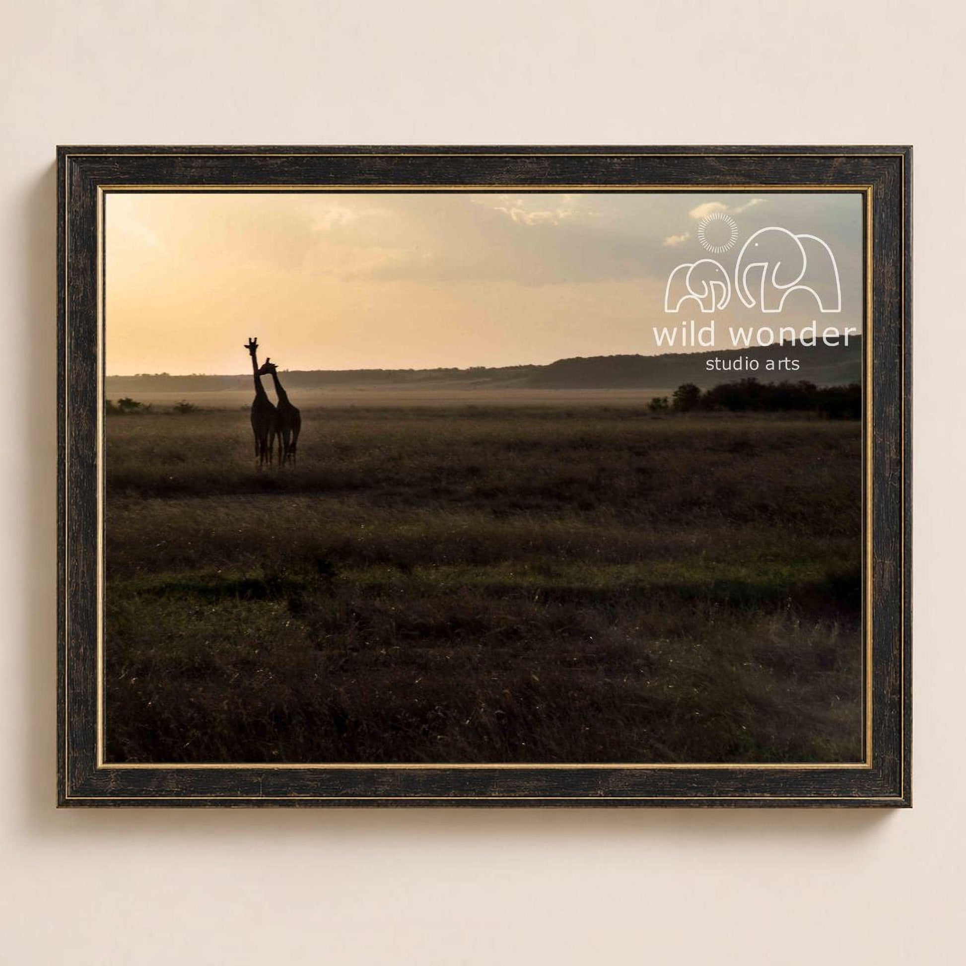 A framed photograph of two giraffes standing in a grassy field at sunset, with the logo of the studio "wild wonder" visible in the frame.