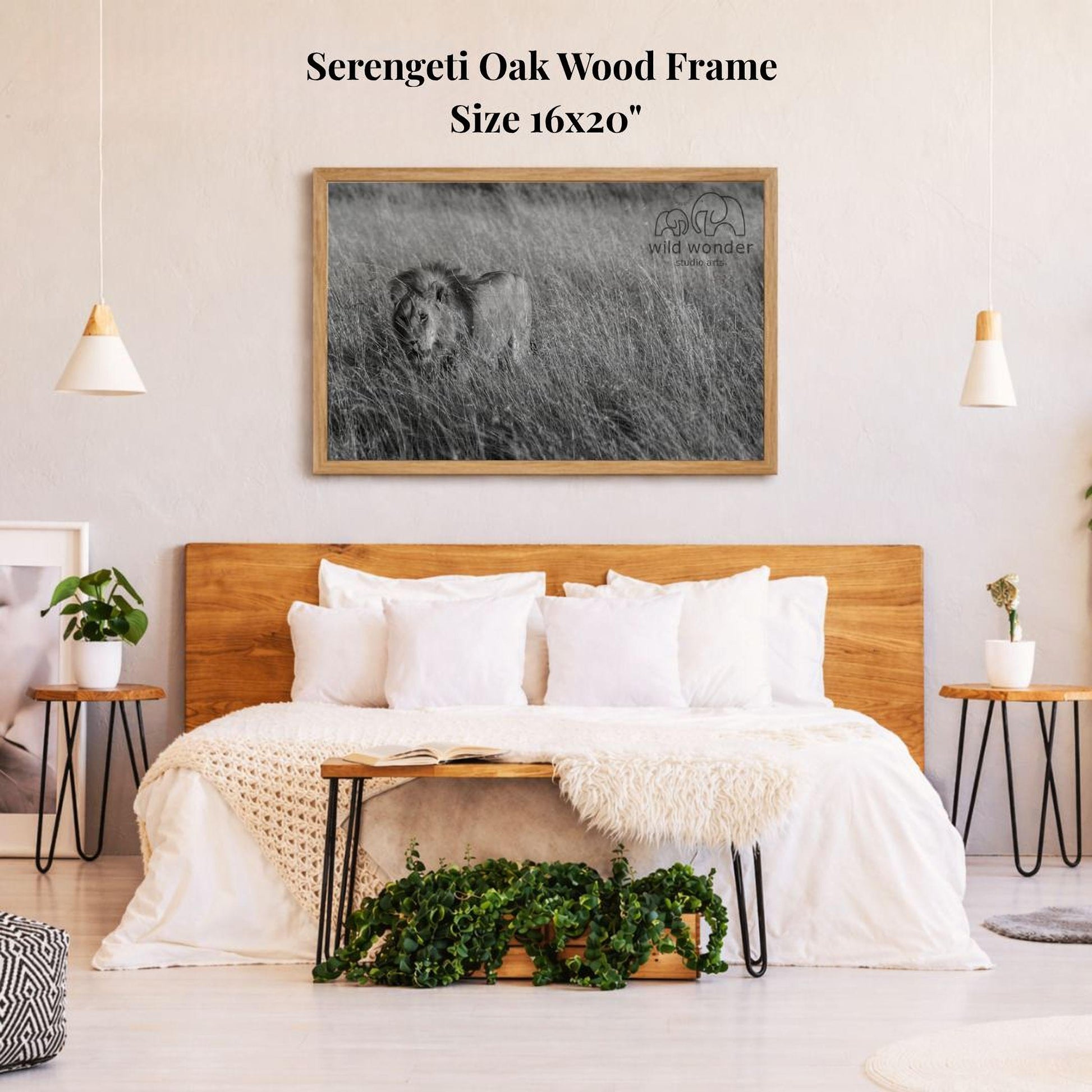 a serene bedroom scene with a large framed photograph of a lion in the grass hanging on the wall above a bed with white bedding.