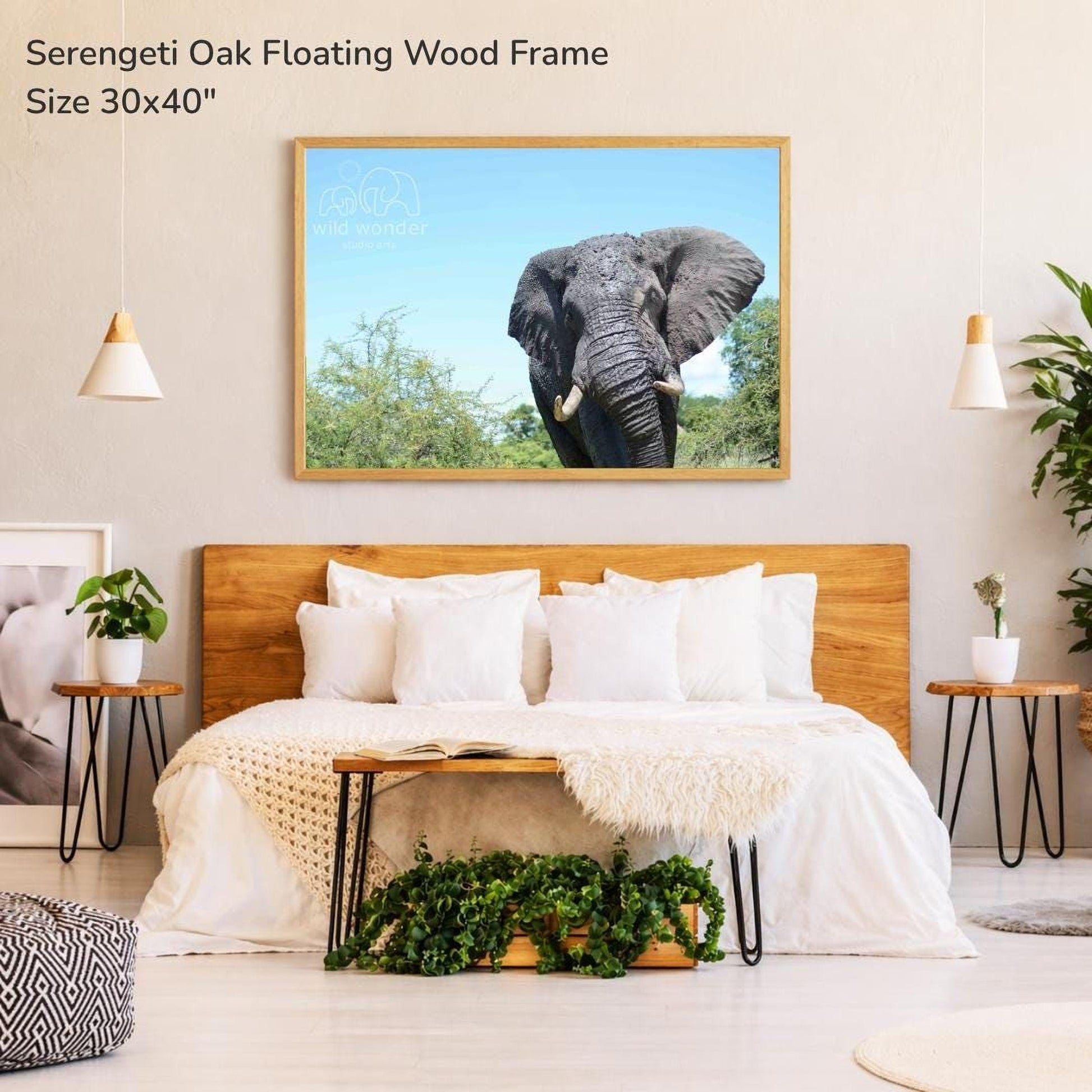 a serene bedroom setting with a large serene oak floating wood frame hanging above a bed with white bedding. The frame displays a photograph of an elephant in a natural environment. The room is decorated with potted plants, a wooden headboard, and a wooden nightstand.