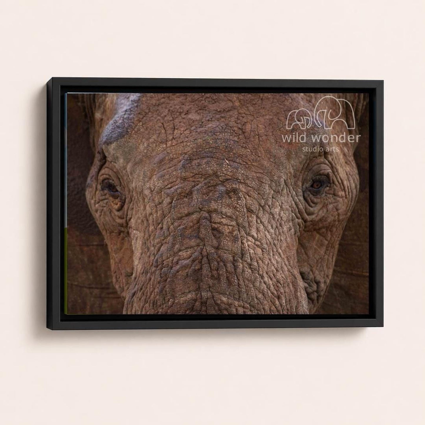 A close-up photograph of an elephant's face, with its large eyes and wrinkled skin visible.