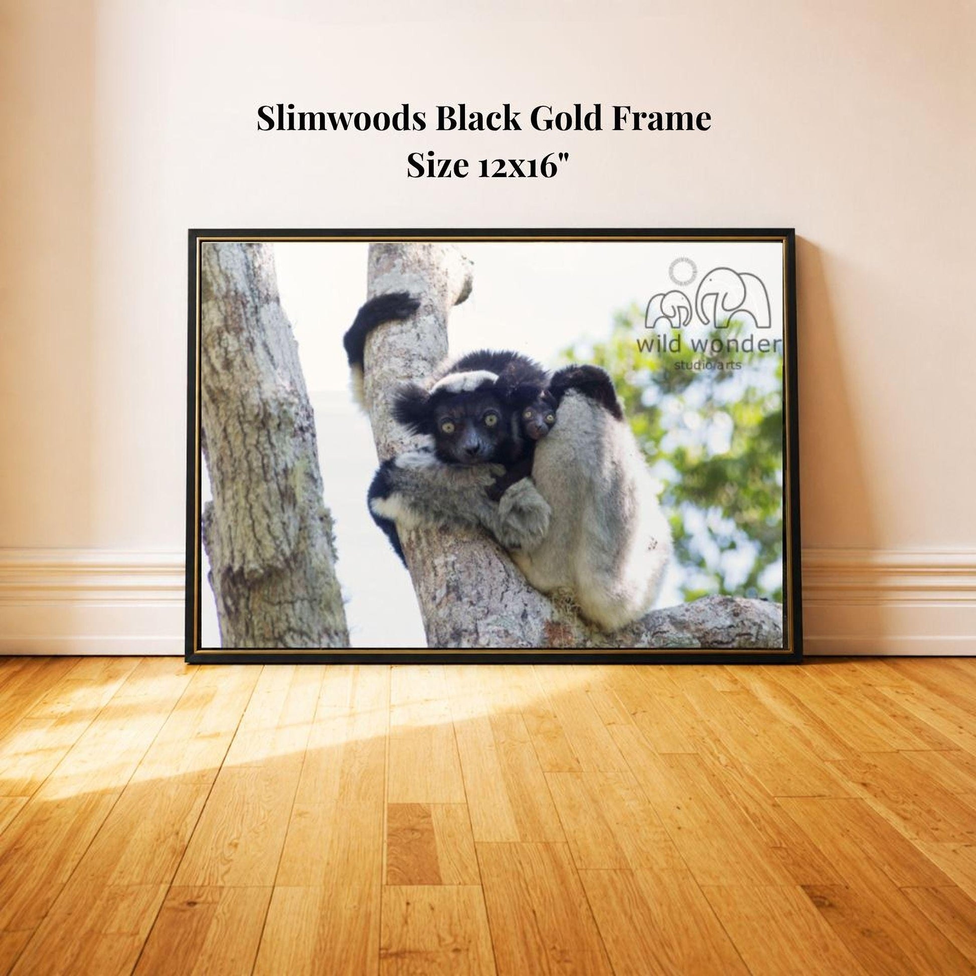 A black and white photograph of a lemur resting on a tree branch, with a black frame around it.