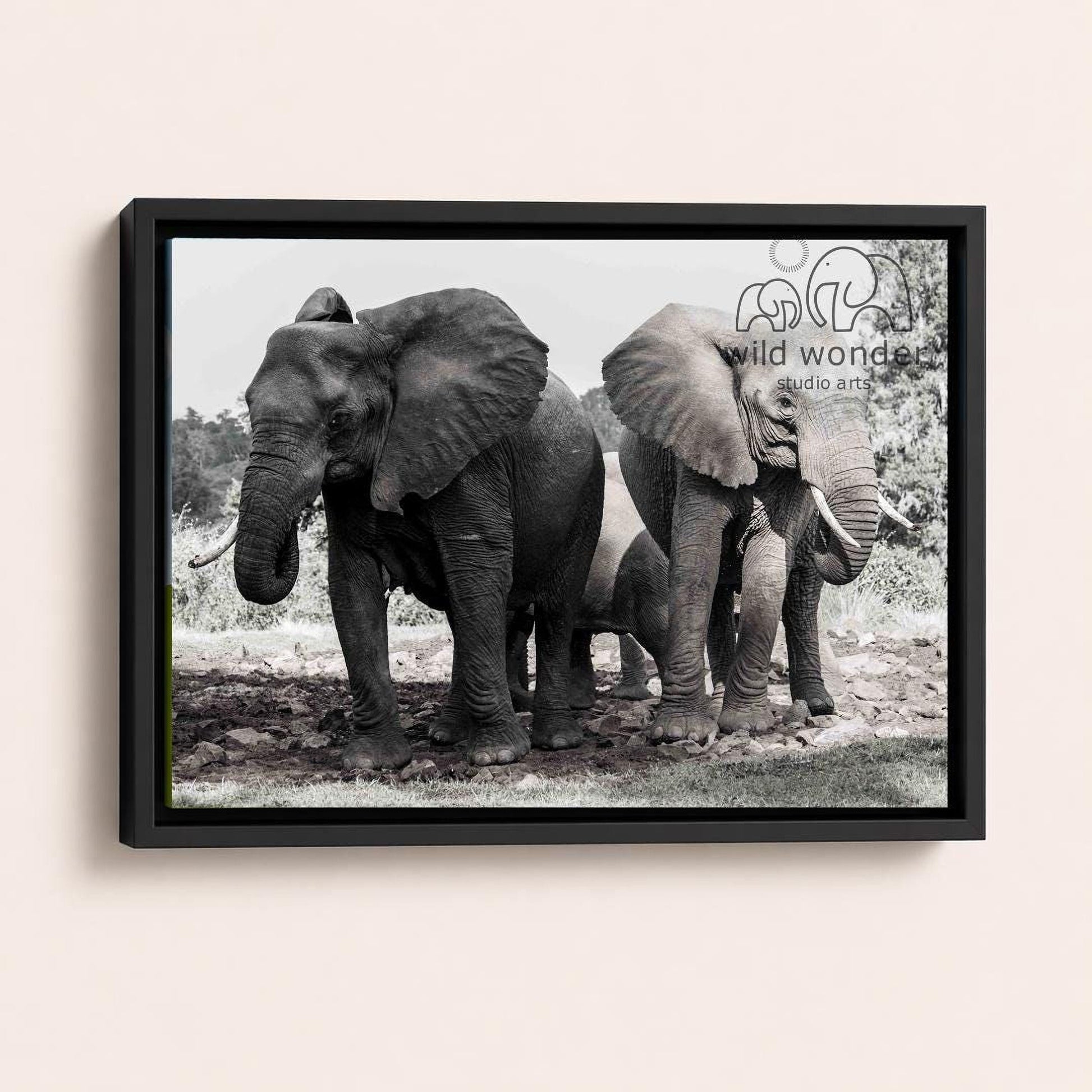 A black and white photograph of two elephants standing together in a natural setting.