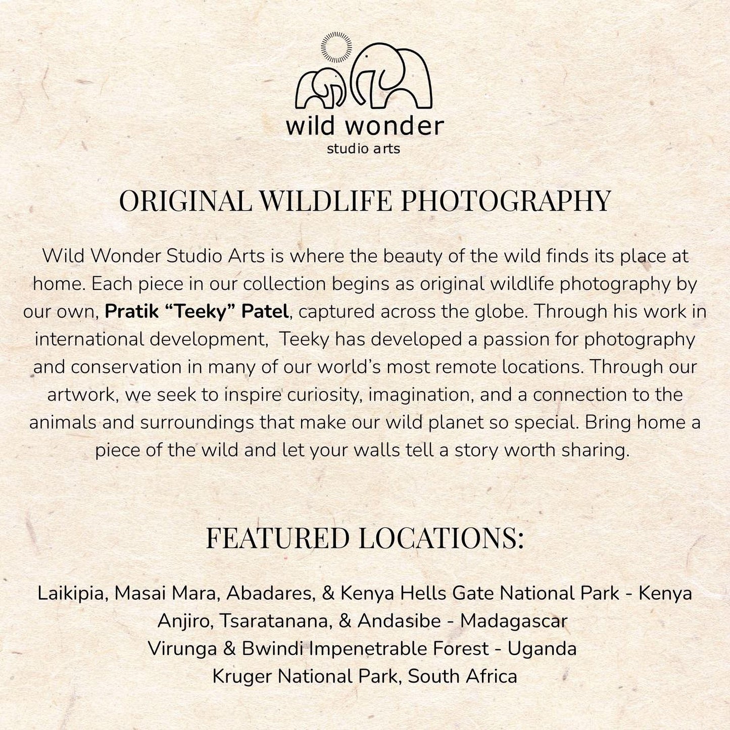 The image is a collection of wildlife photography pieces from various locations around the world, showcasing the beauty of the wild and the passion for photography in different environments.