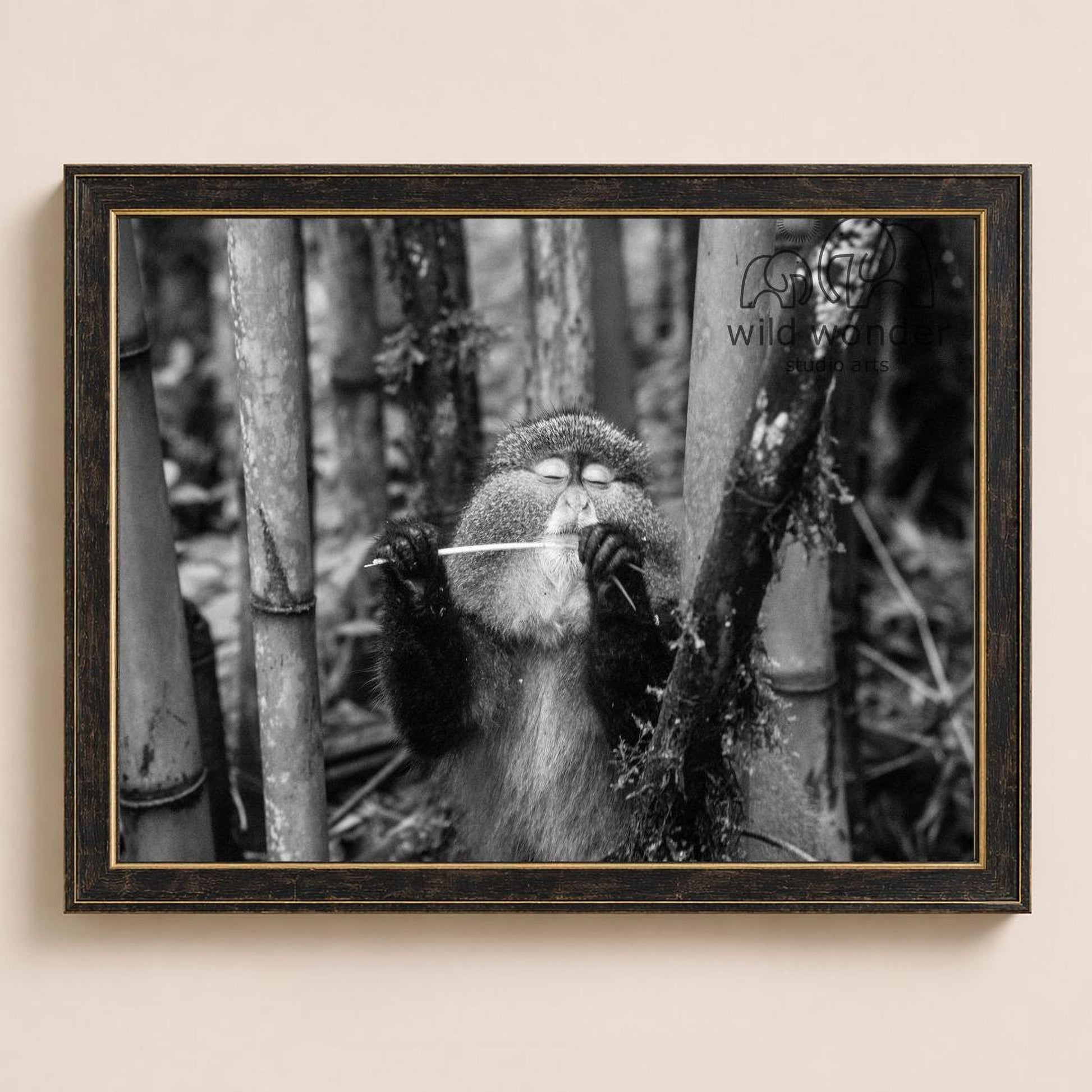 A monkey is sitting in a forest, holding a stick in its mouth.