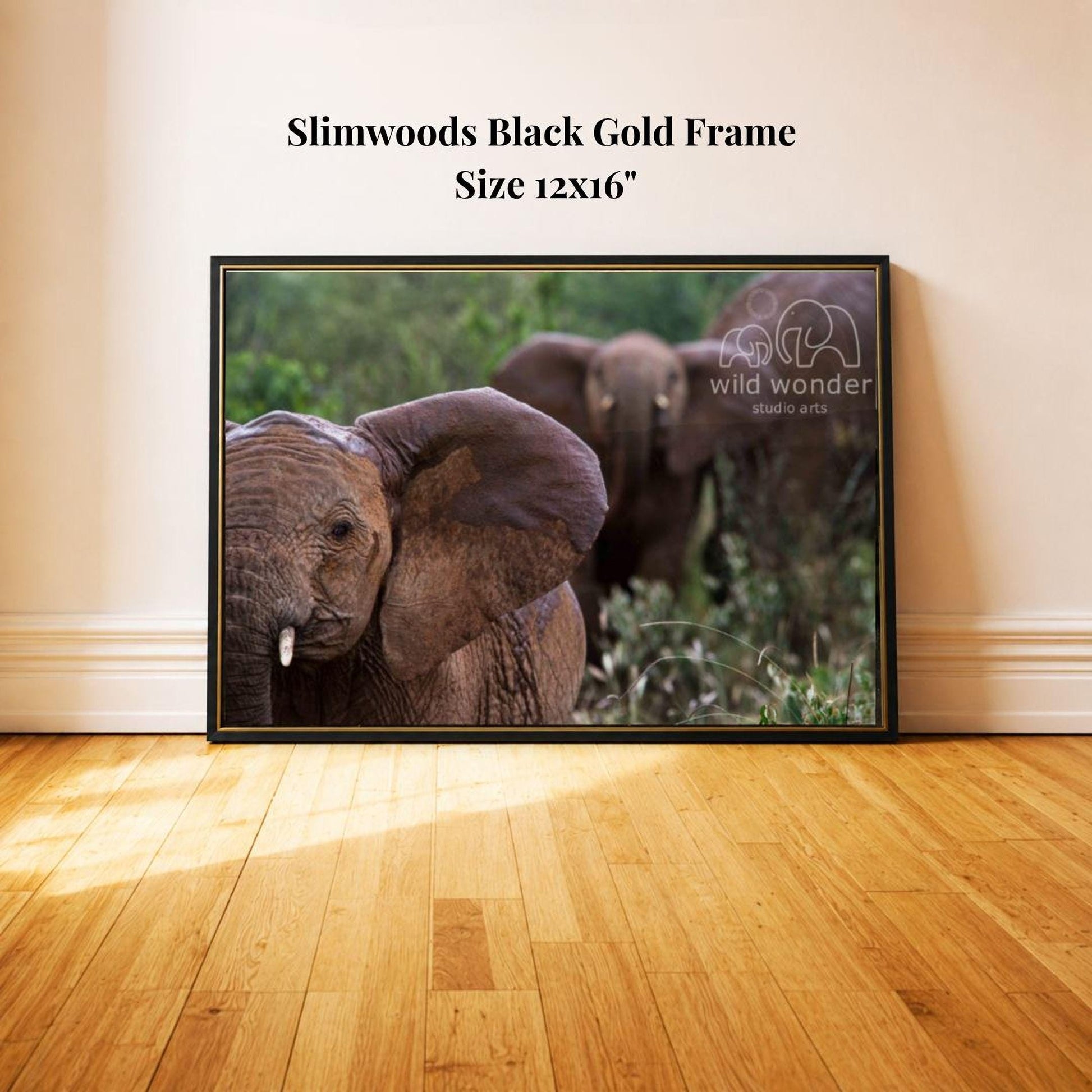 A framed photograph of two elephants in a natural setting, with a black gold frame and a text overlay indicating the size of the frame as 12x16 inches.