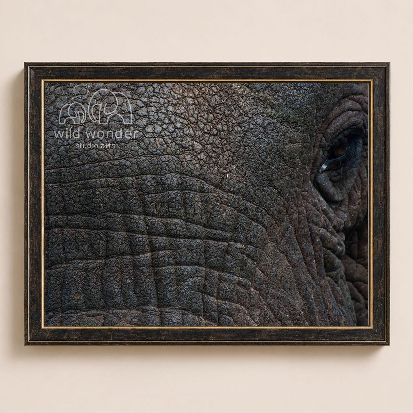 a close-up view of the wrinkled and textured skin of an elephant's face, with a dark frame surrounding the photograph.