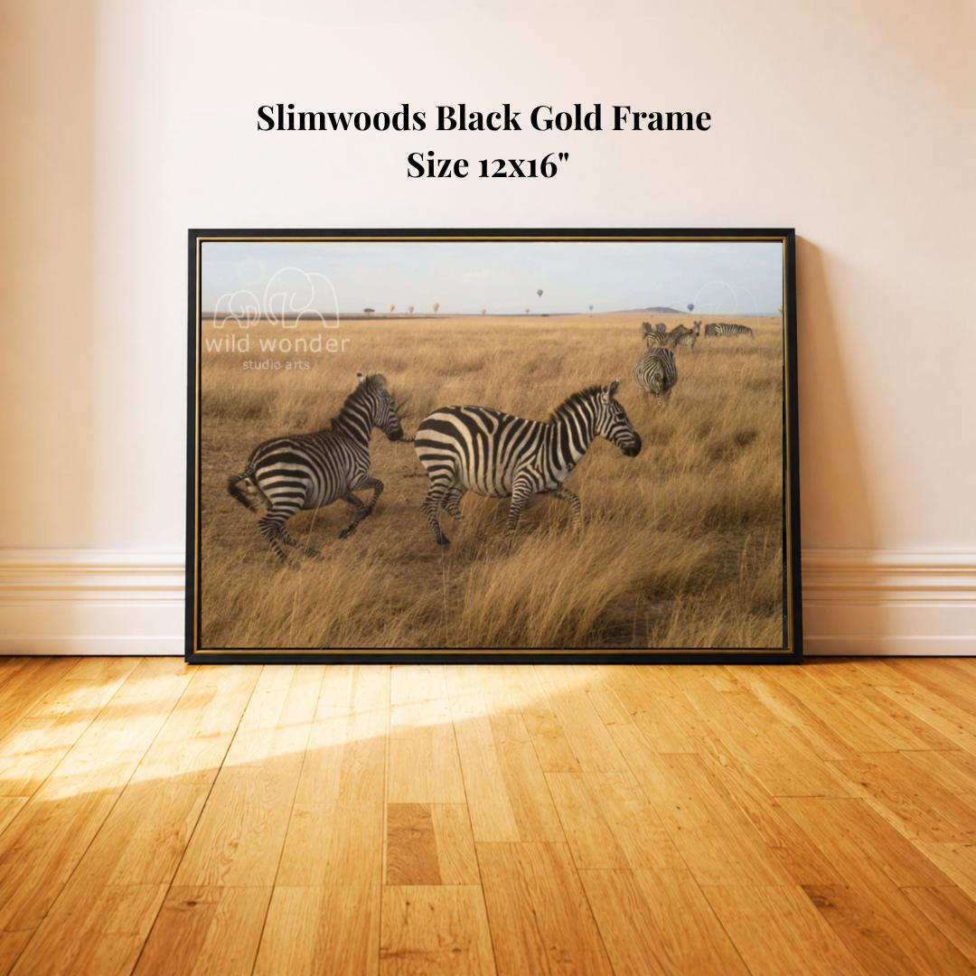 A framed photograph of two zebras in a grassy field, with a text overlay indicating the frame is a "Slimwoods Black Gold Frame" and the size is "Size 12x16".