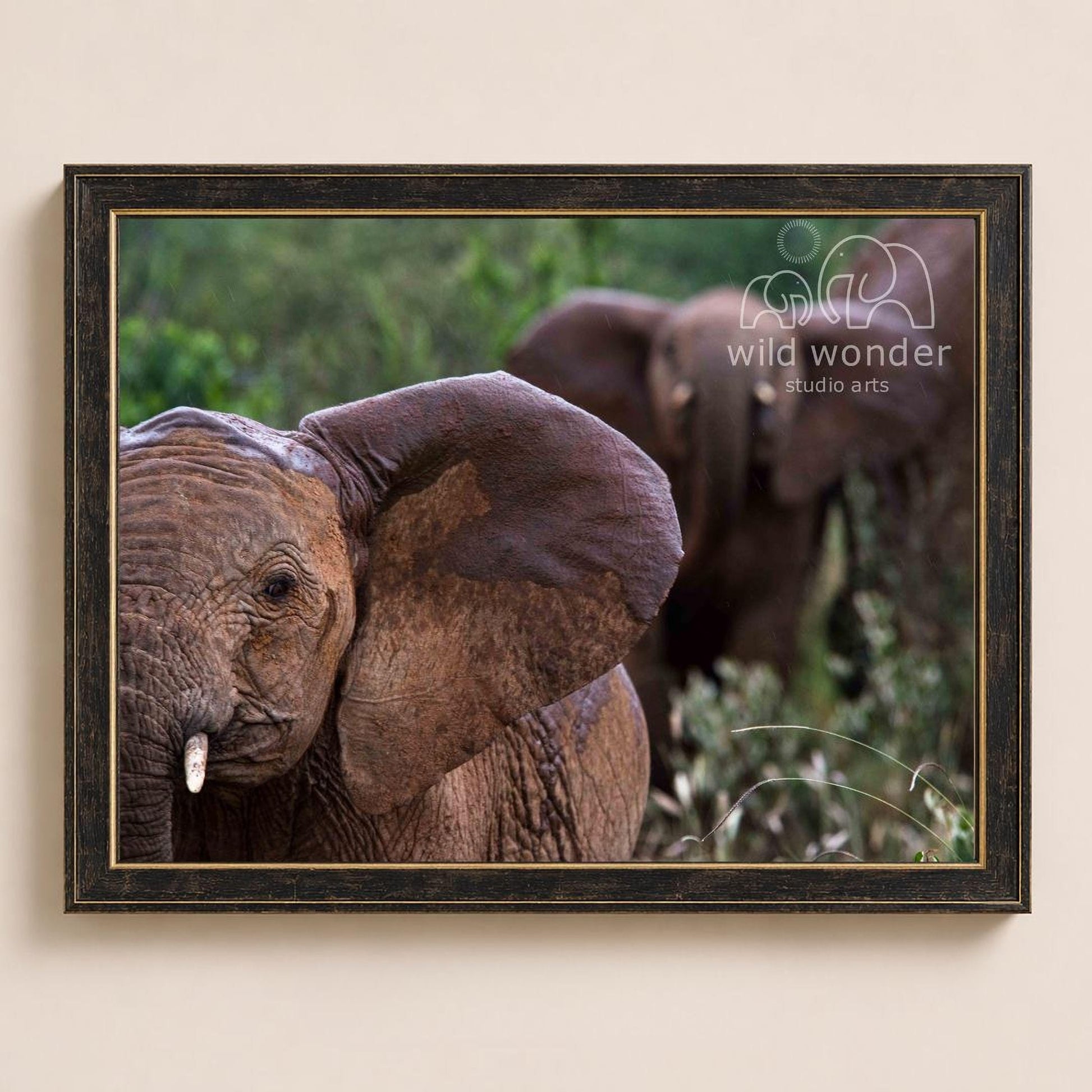 A framed photograph of two elephants in a natural setting, with the text "wild wonder studio arts" visible in the frame.