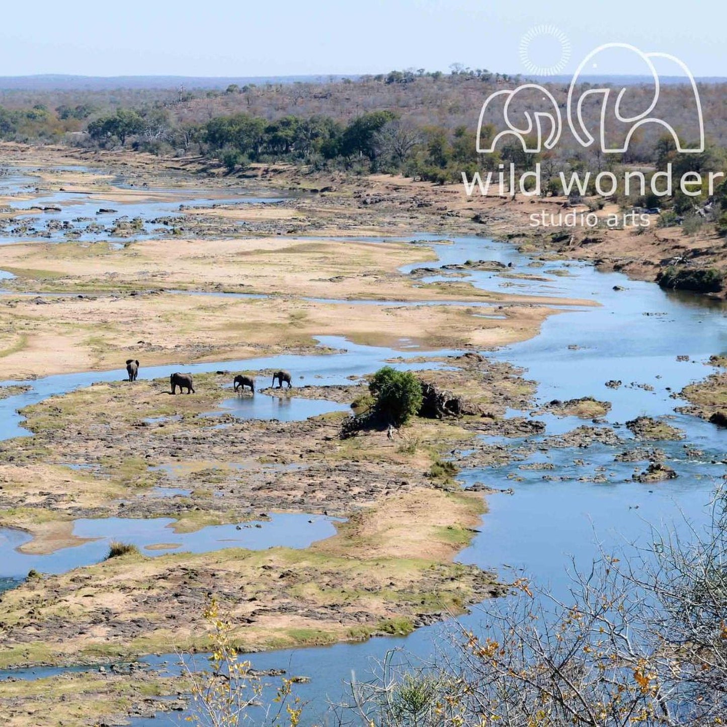 A group of elephants walking along a riverbank, surrounded by lush vegetation and a clear blue sky.