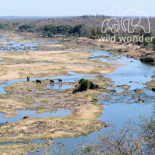 A group of elephants walking along a riverbank, surrounded by lush vegetation and a clear blue sky.