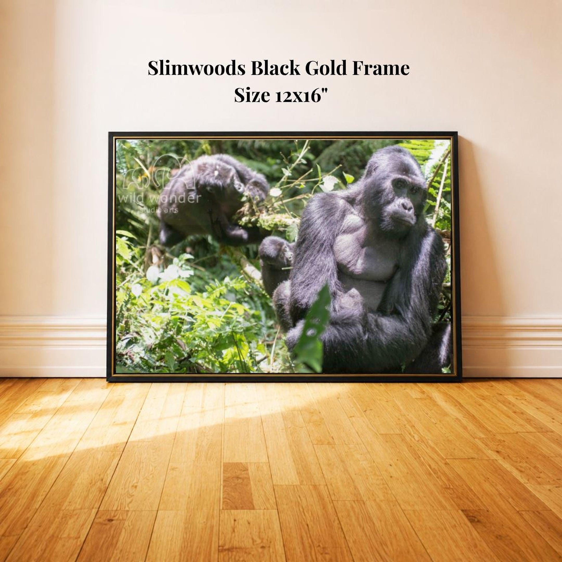 A black and gold framed photograph of two gorillas in a lush, green forest setting.