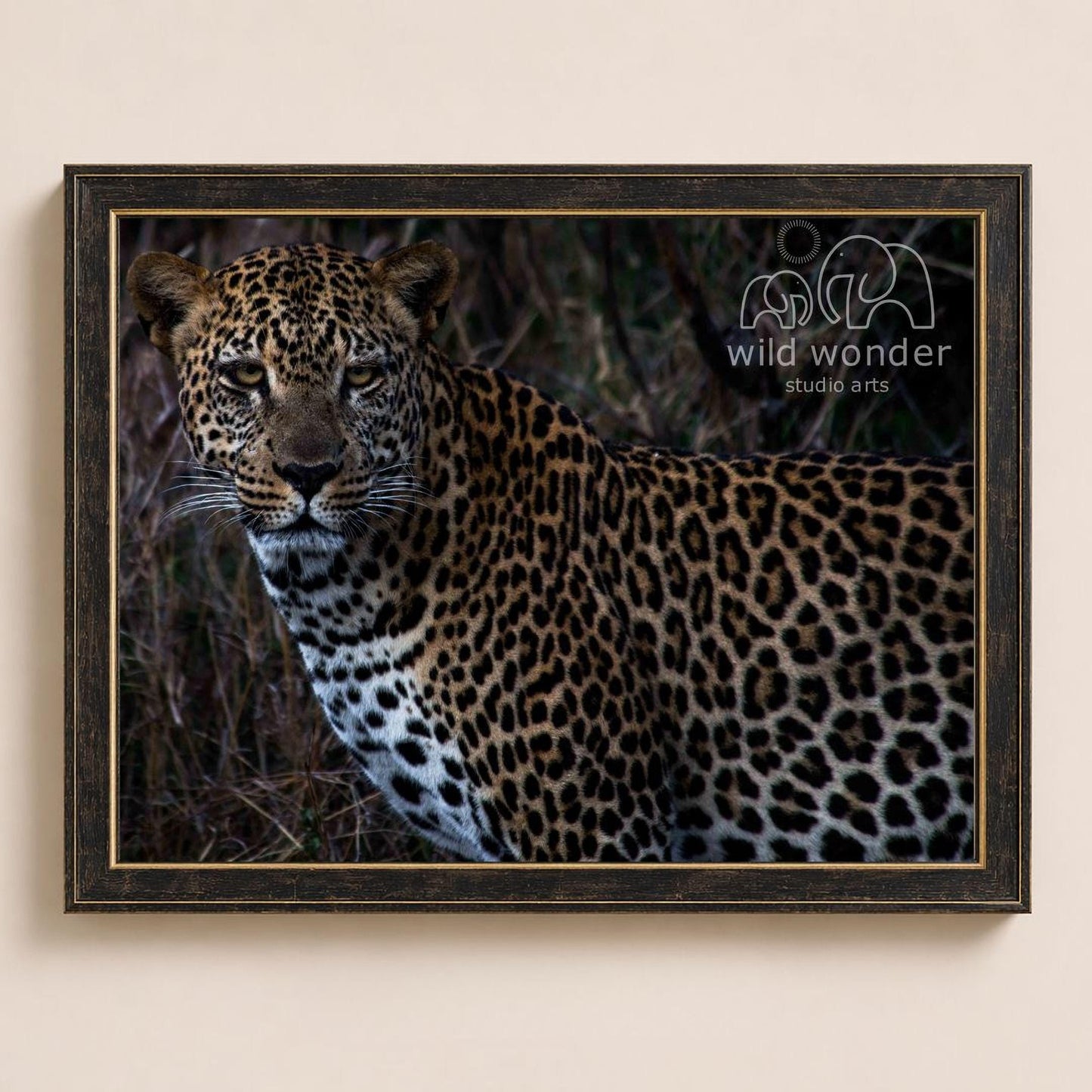 A leopard standing in a natural environment, with its distinctive spotted coat and alert expression.