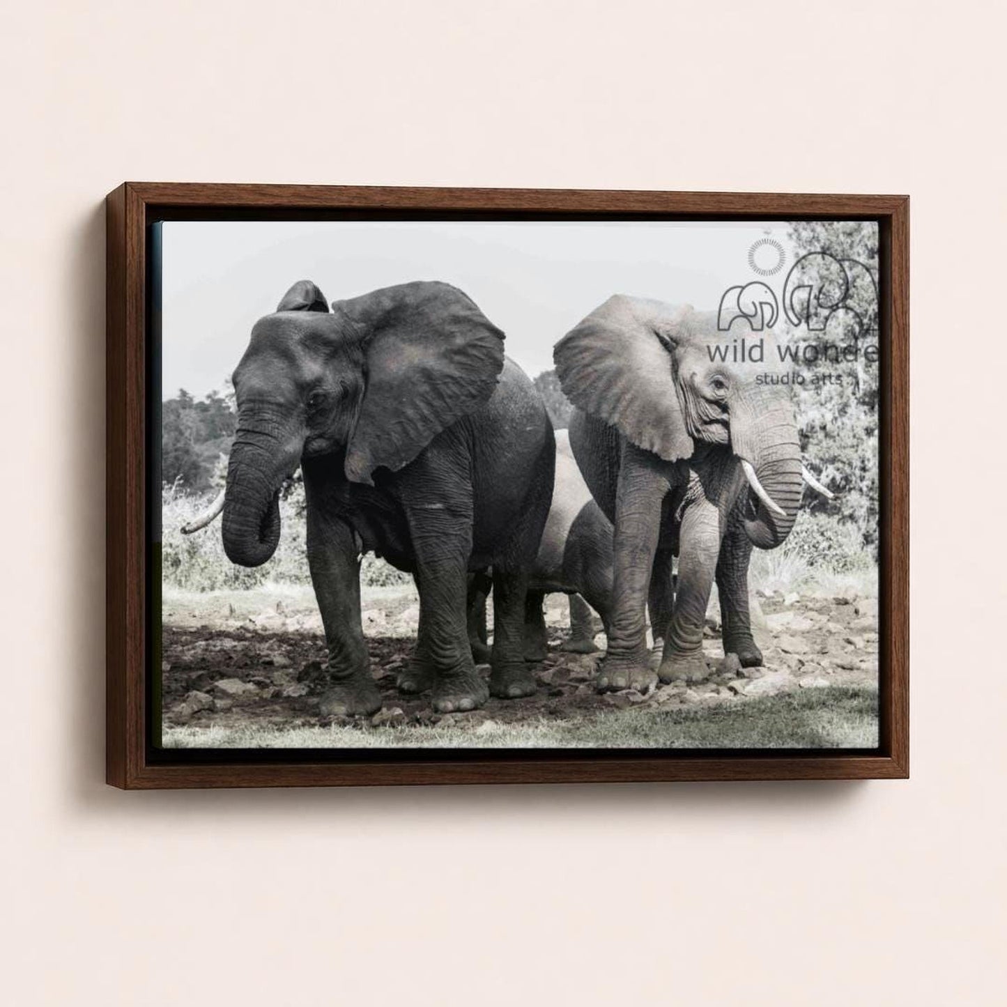 A black and white photograph of two elephants standing together in a natural setting.
