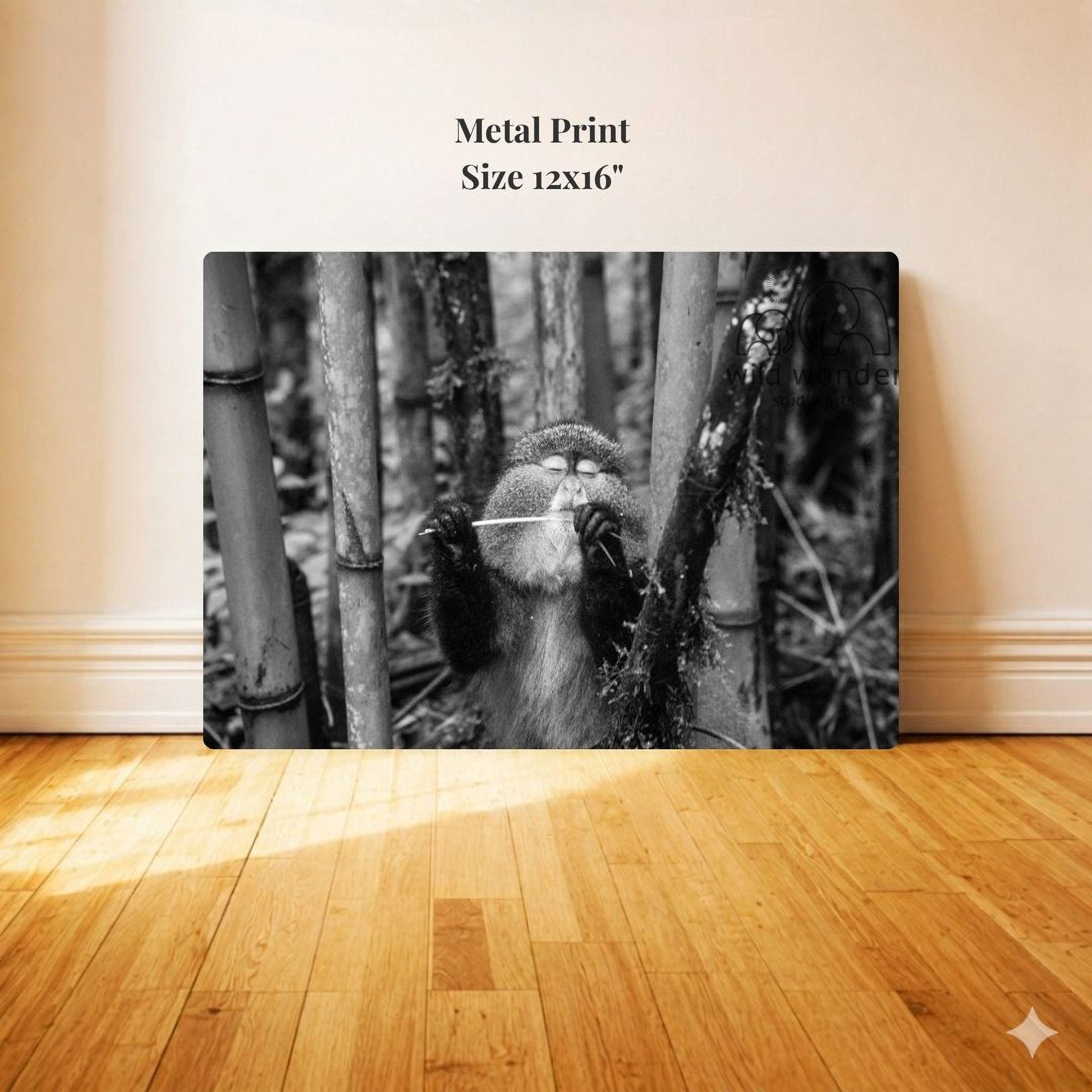 A black and white photograph of a monkey standing in a forest, surrounded by trees and foliage.