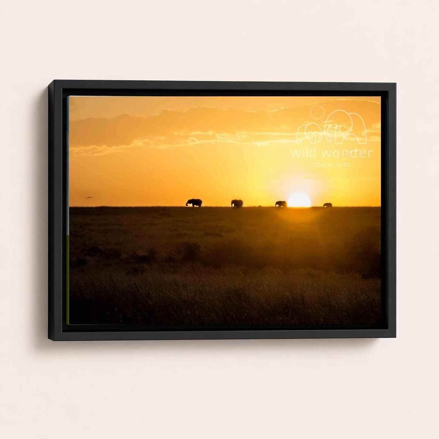 A group of elephants silhouetted against the setting sun in a grassy field.