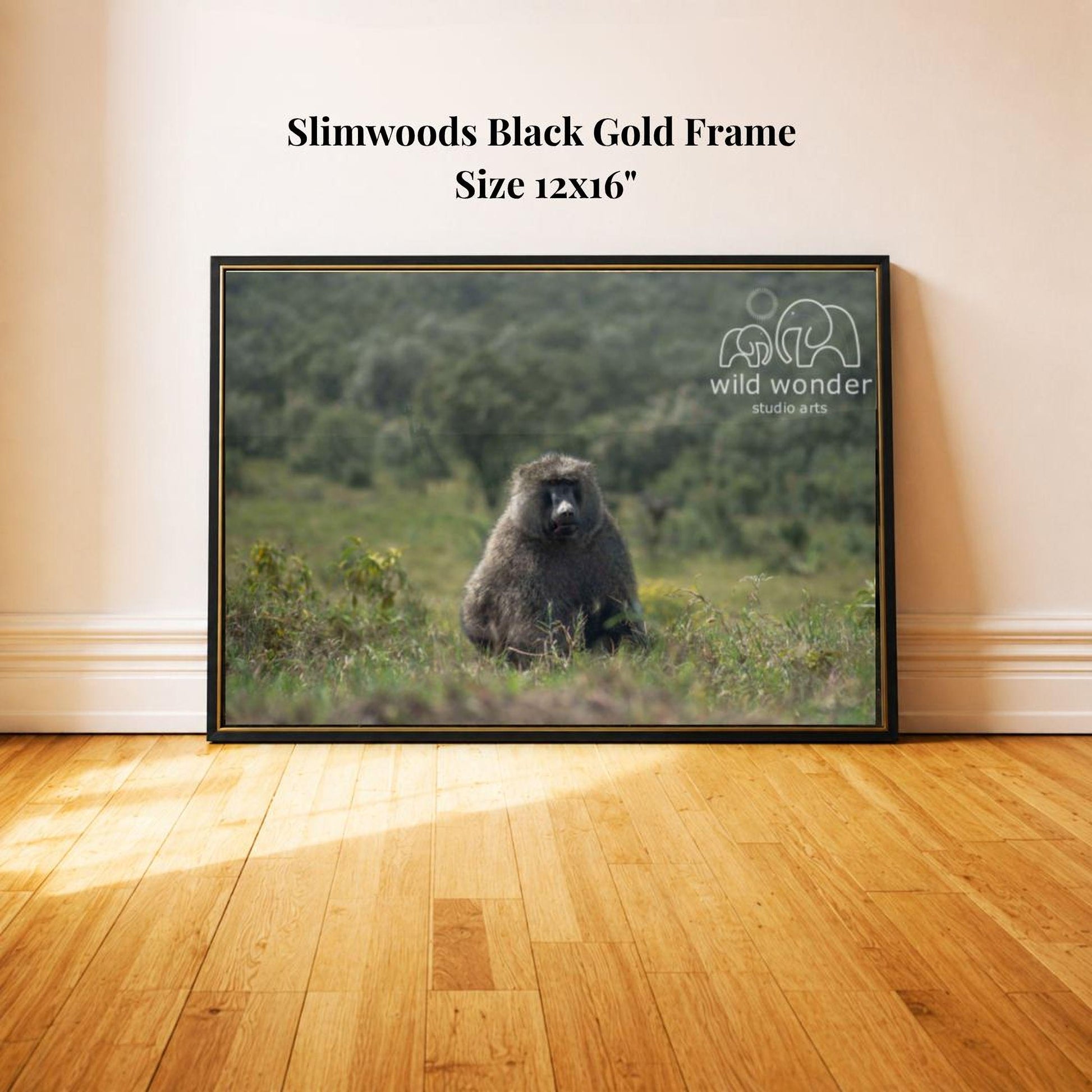 A framed photograph of a baboon sitting in a grassy field, with the text "Slimwoods Black Gold Frame" and "Size 12x16" printed on the frame.