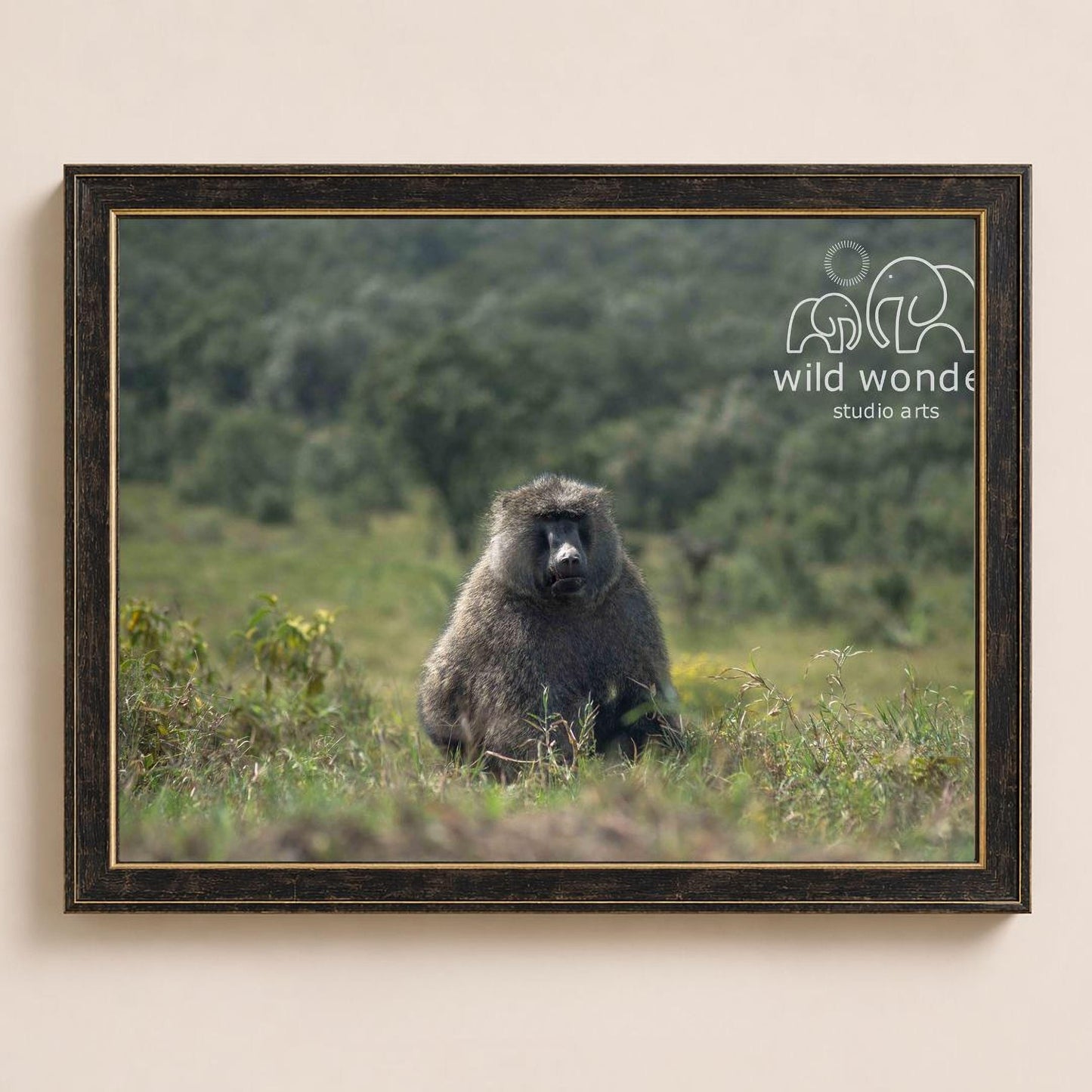 A large, furry monkey sits in a grassy field, surrounded by trees and bushes.