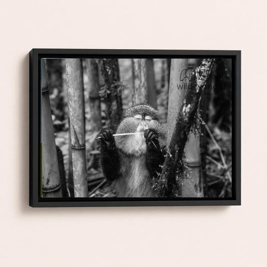 A monkey is standing in a forest, holding a stick in its hands.