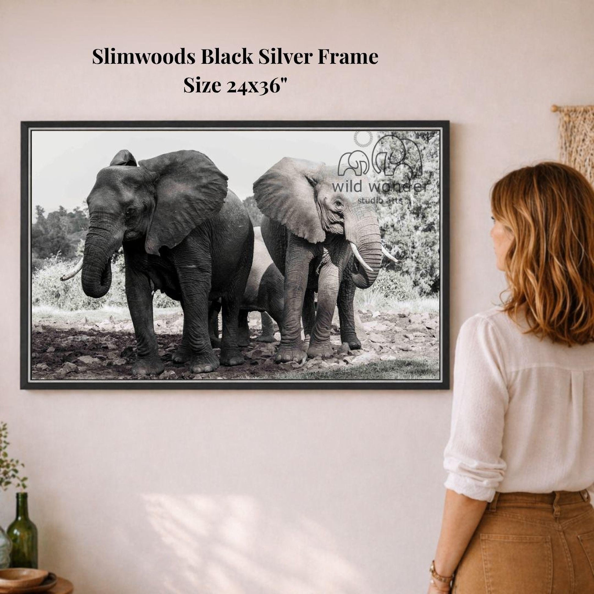 A woman is standing in front of a framed black and white photograph of three elephants, with a text overlay indicating the frame is from the "wild wonder" series.