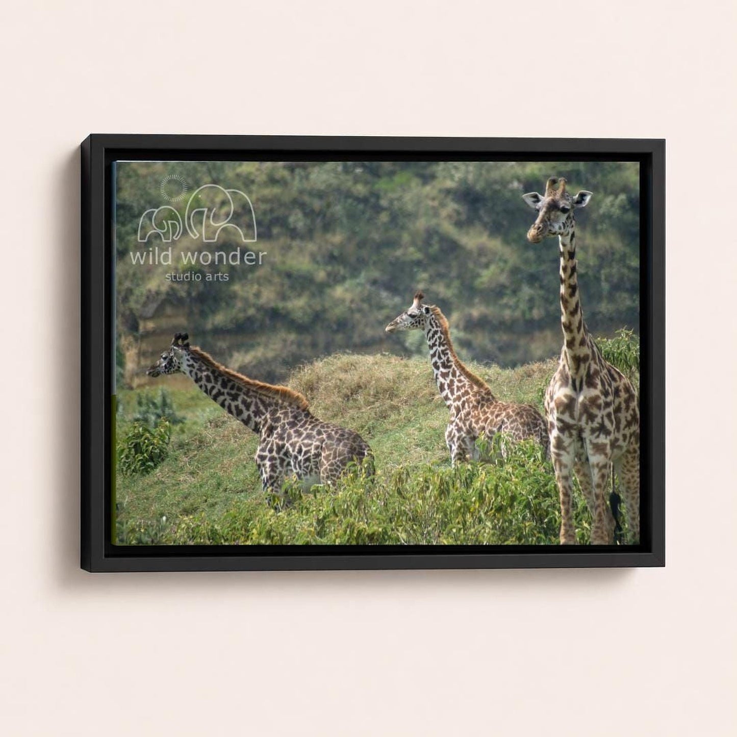 A framed photograph of three giraffes in a grassy field, with the text "wild wonder studio arts" visible in the frame.