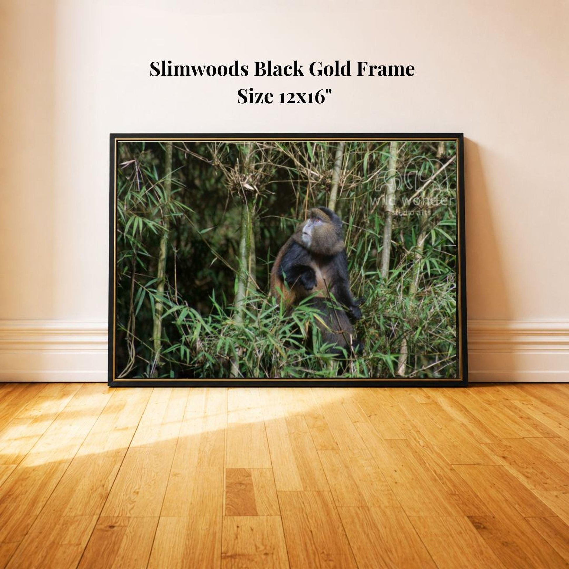 A black and gold framed photograph of a monkey in a lush, green forest setting.
