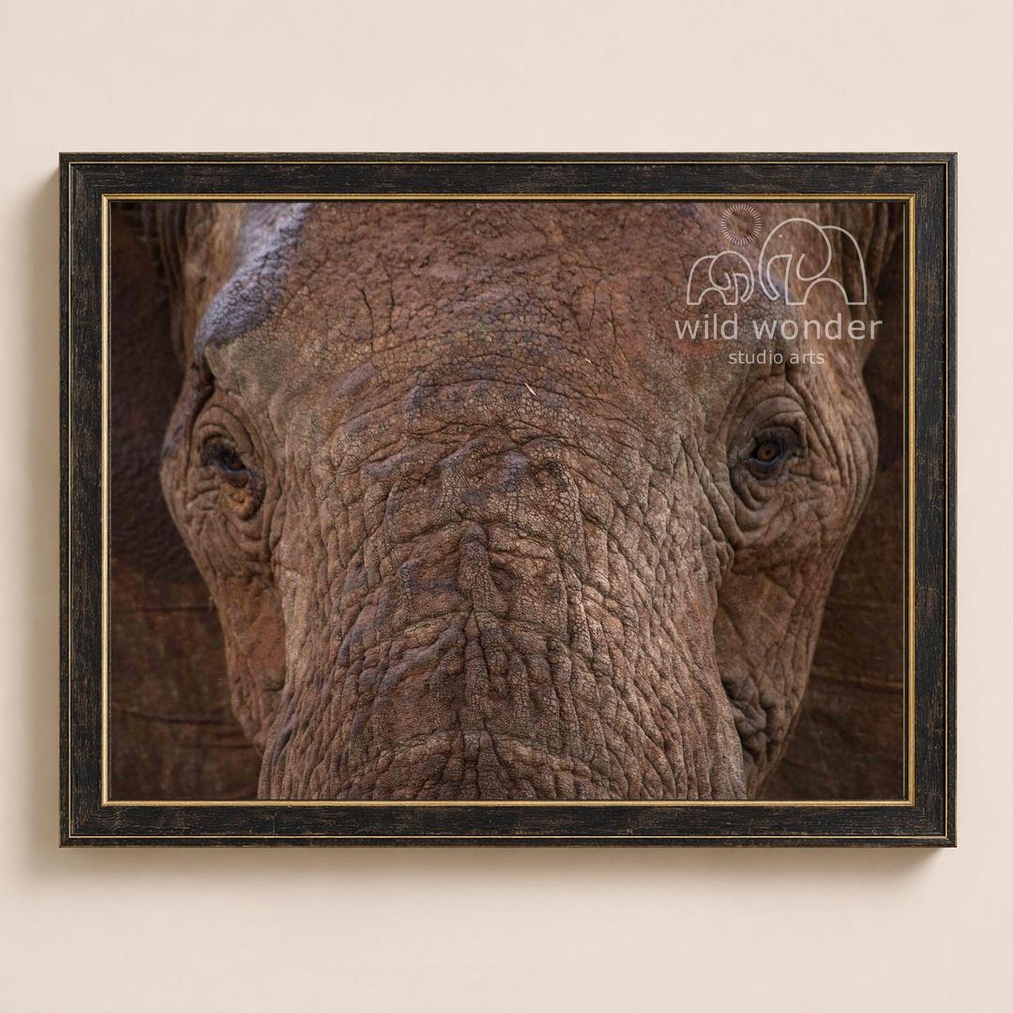 A close-up photograph of an elephant's face, with its large, wrinkled skin and expressive eyes visible.