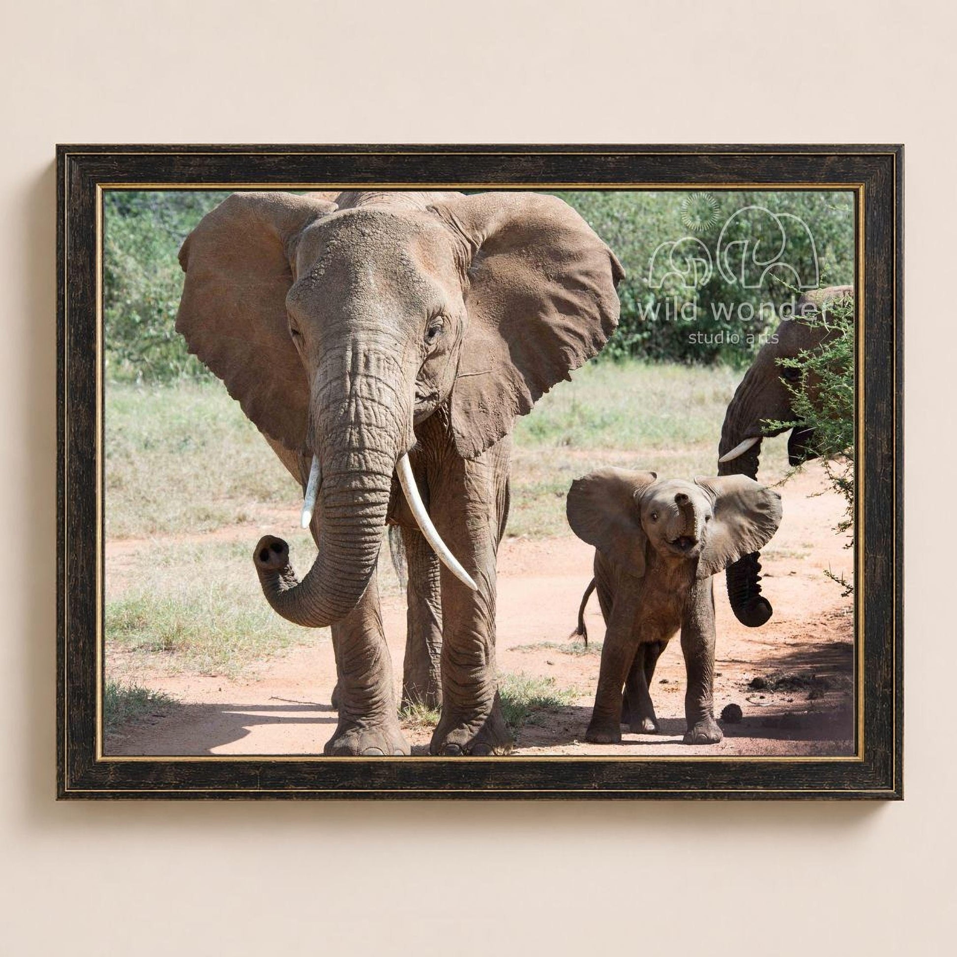 A mother elephant and her calf walking together in a natural setting, with the mother's trunk curled up and the calf's ears flapping.