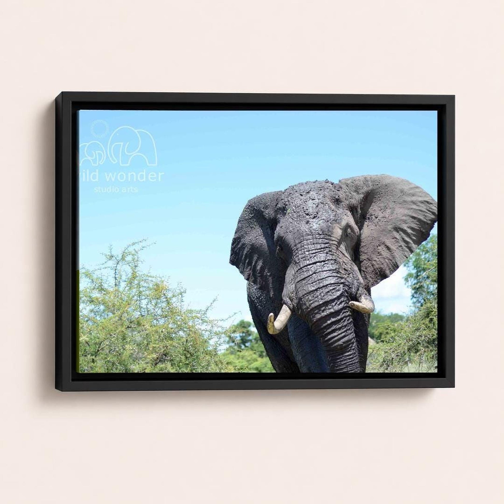 A large gray elephant with tusks stands in a lush green forest, its massive form contrasting with the surrounding foliage.