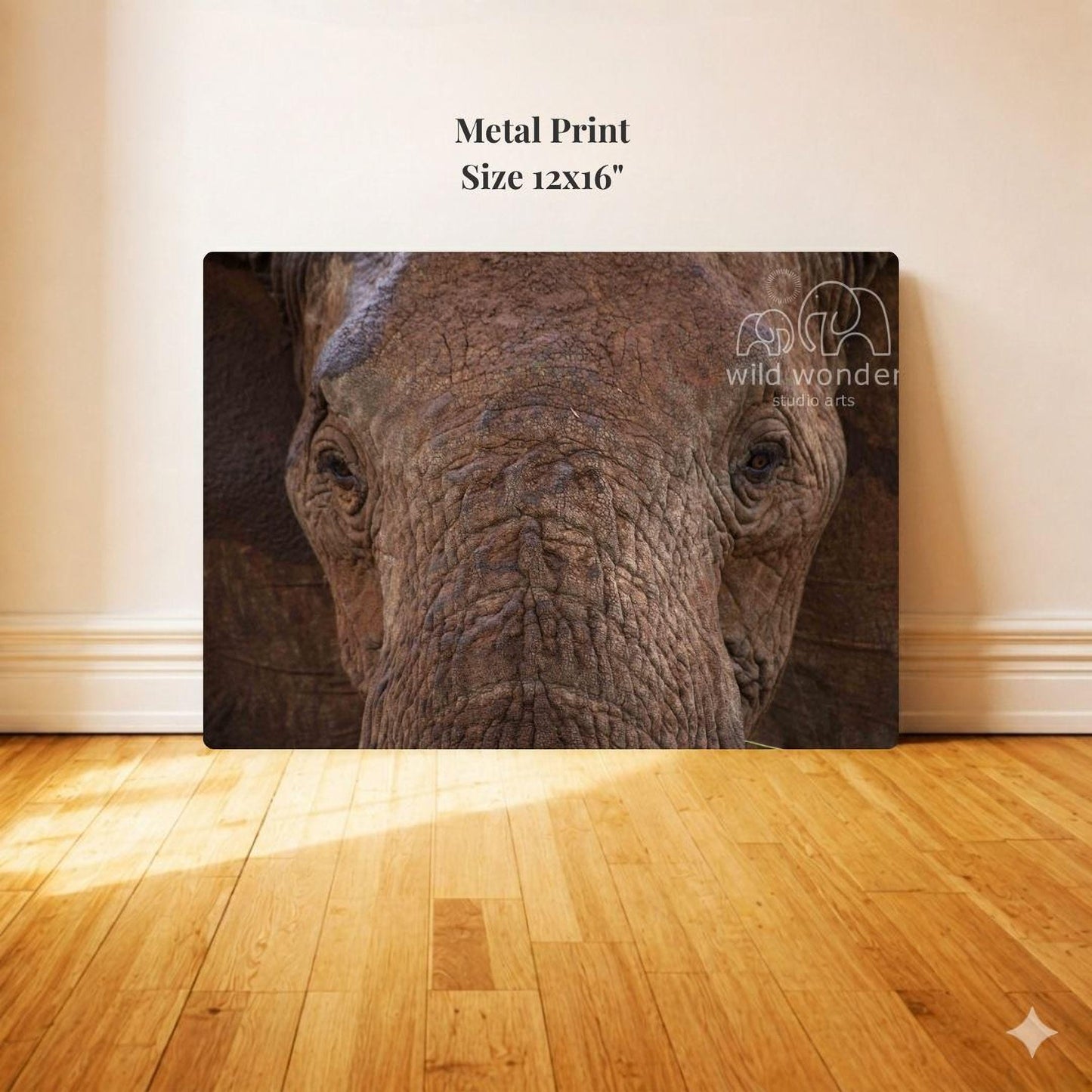 Metal Print